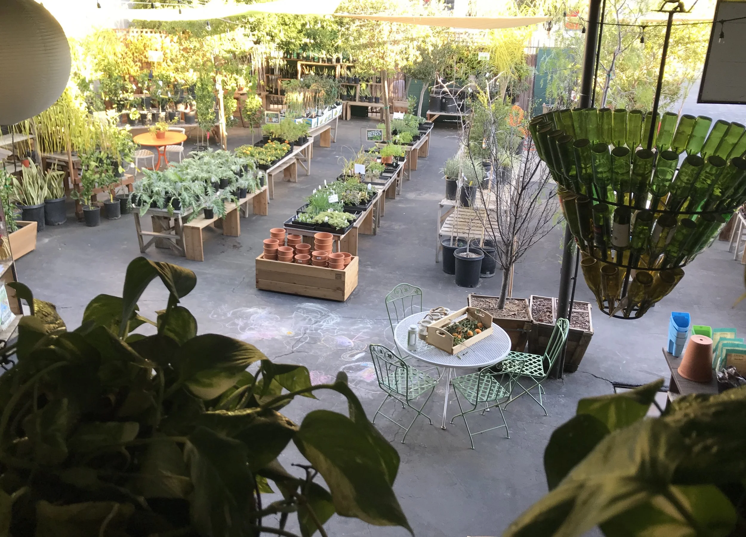 Fresh In May 23rd, 2019