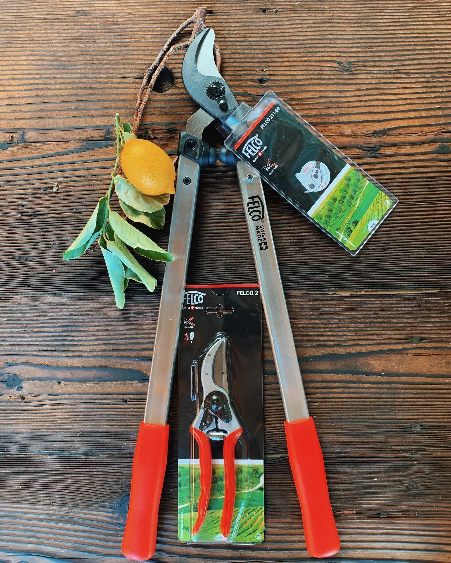 We are now an official retailer of the one and only high performance Felco pruners and loppers! Just in time for your winter pruning needs! #freshinatfig