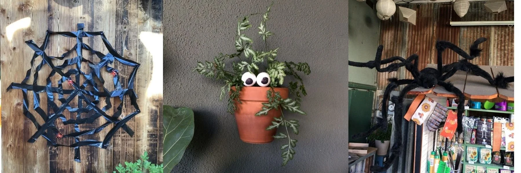 It's Getting Spooky!