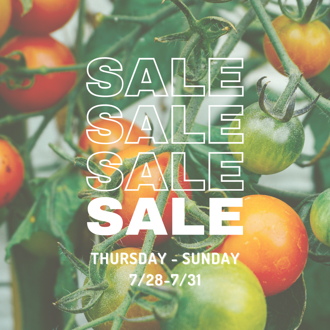 END OF THE SEASON SALE