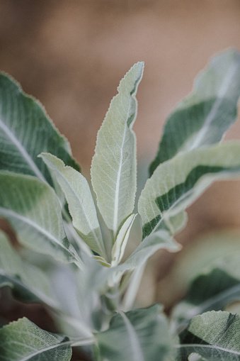 Fresh In March 2, 2023