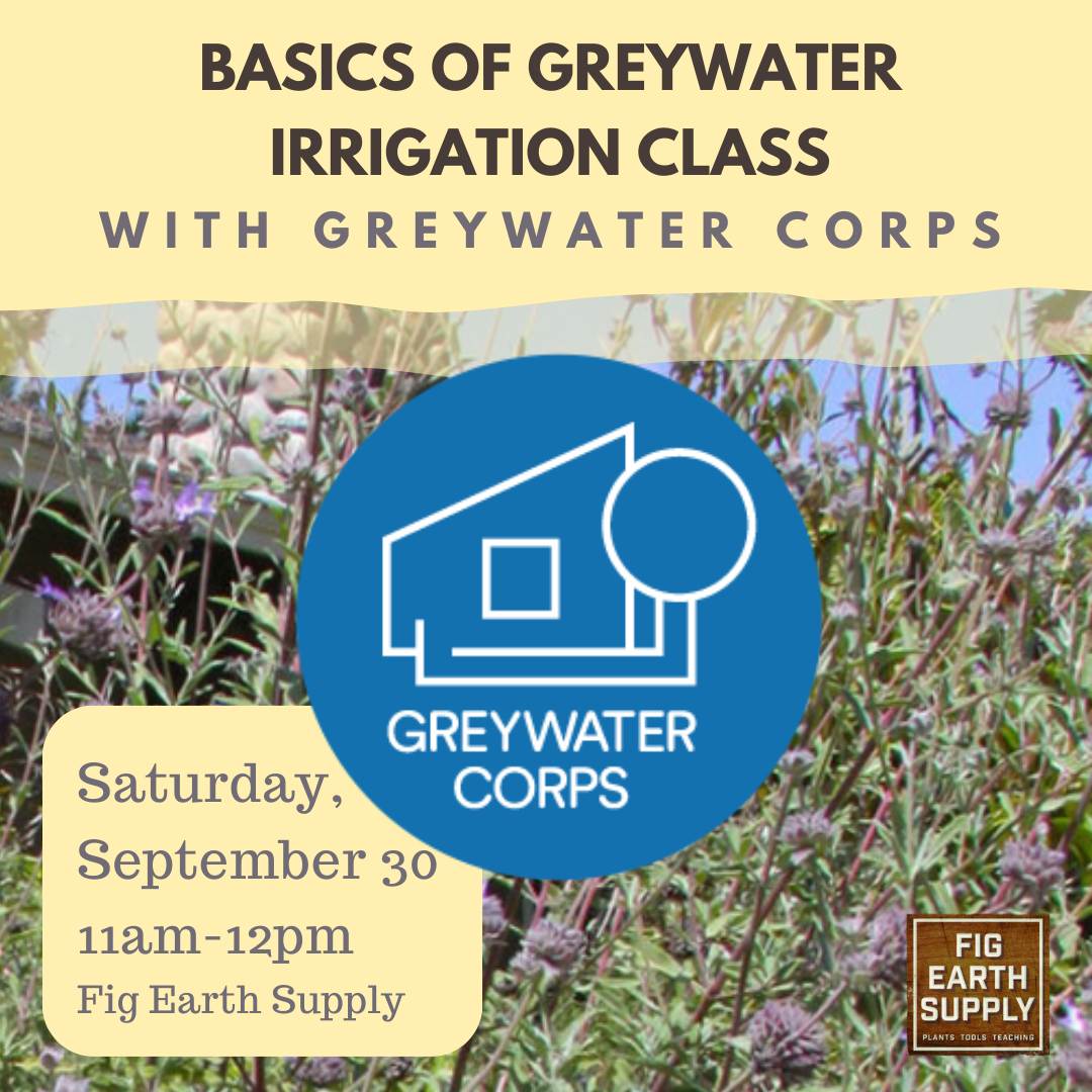 Basics of Greywater Irrigation Class