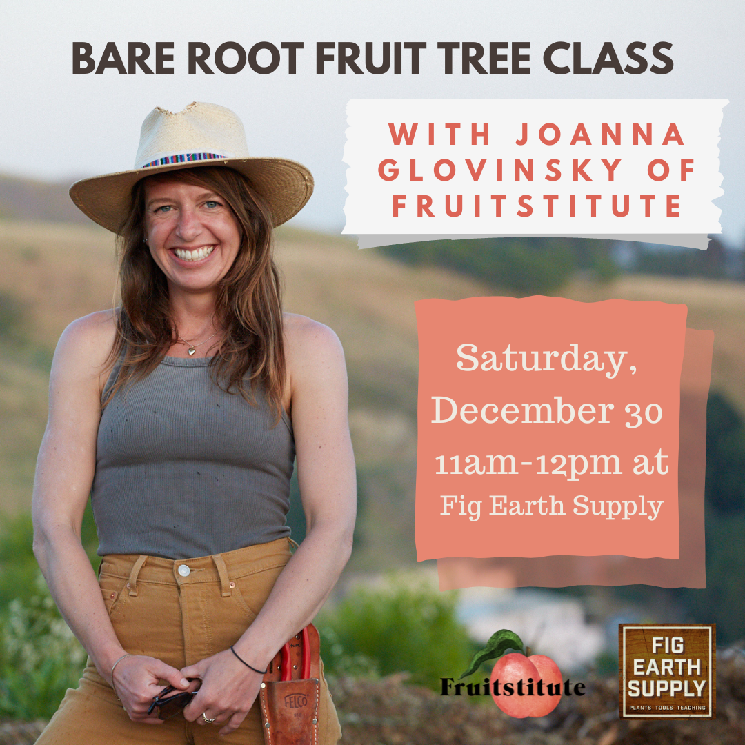 Bare Root Fruit Tree Class with Joanna Glovinsky