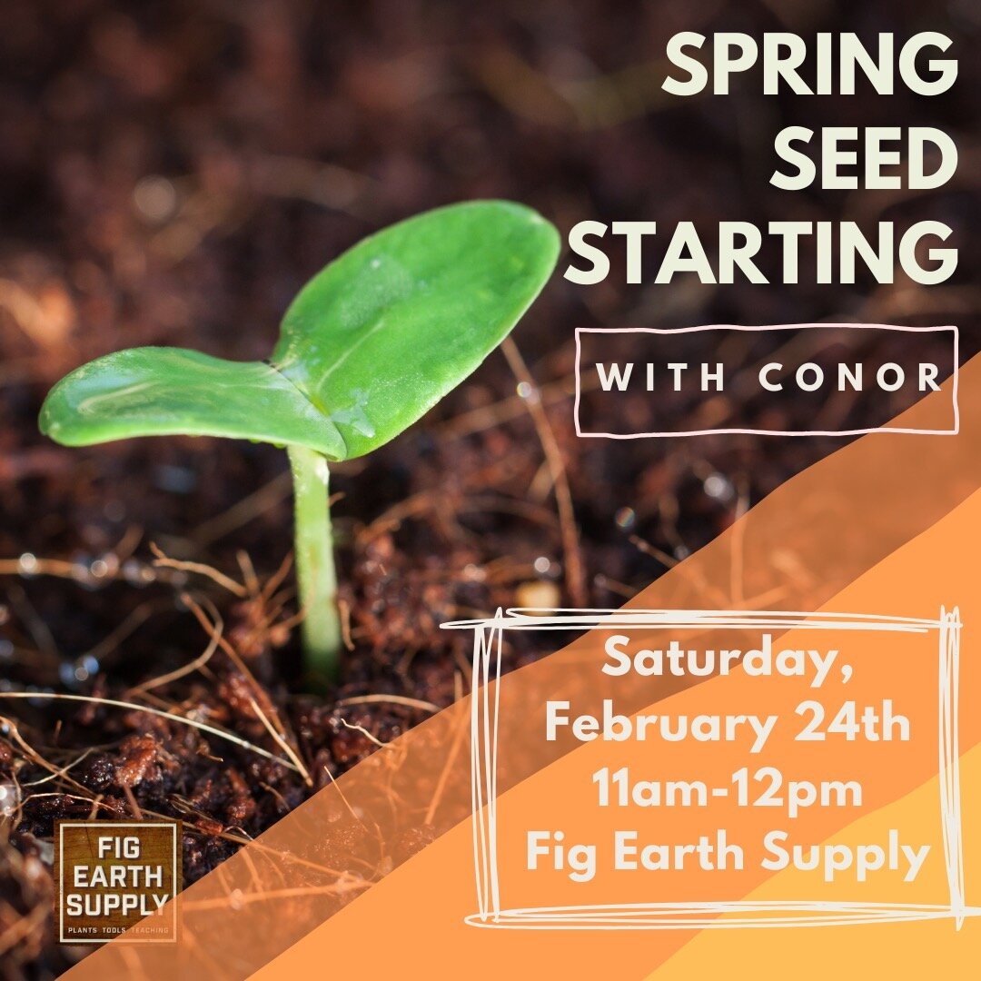 This weekend! Join Conor this Saturday for a comprehensive conversation on starting from seed for the spring season. We&rsquo;ll cover everything from preparation and materials, to sowing options, and the final steps before planting outdoors. Link to