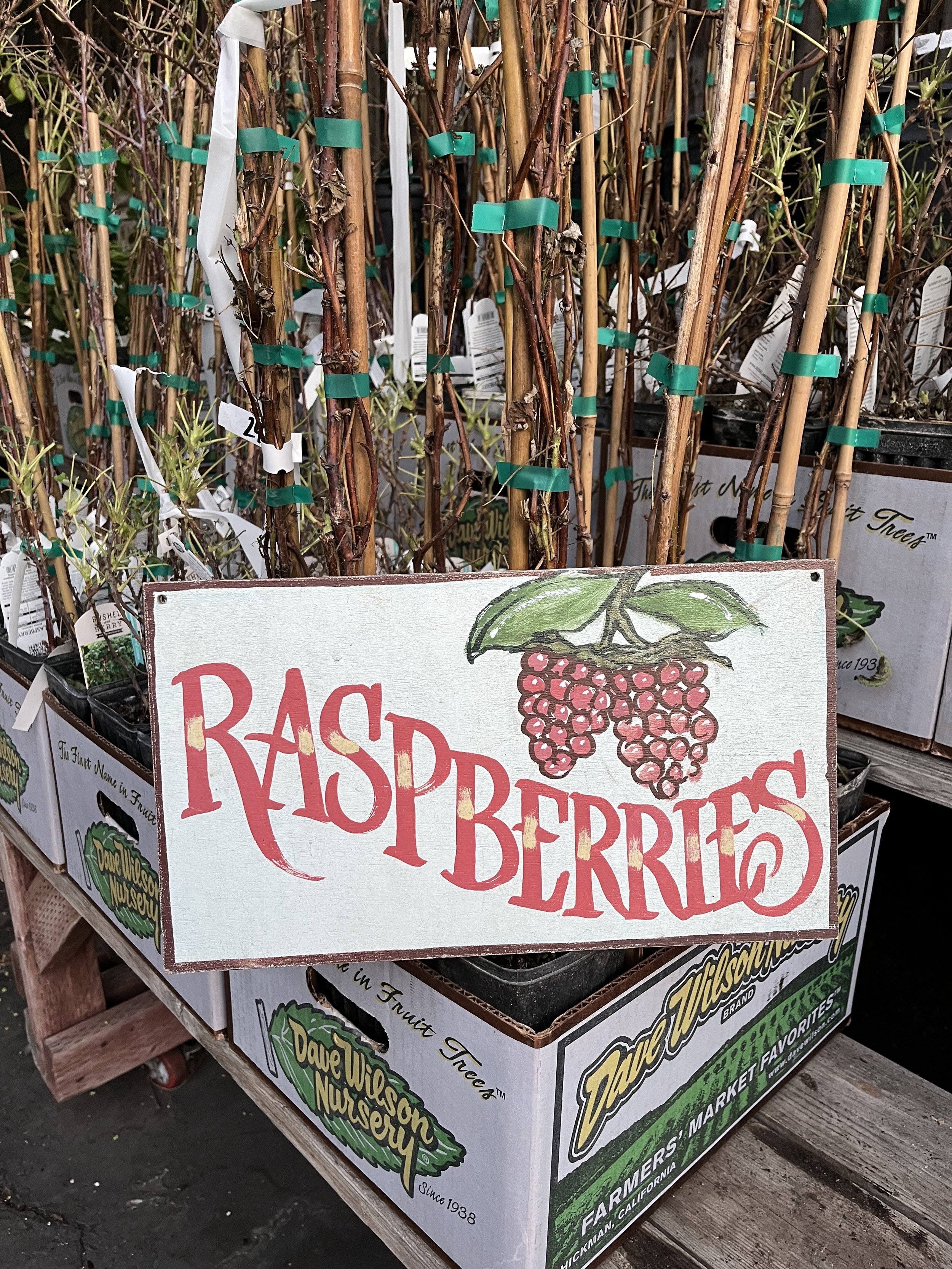 Fresh In December 11, 2024