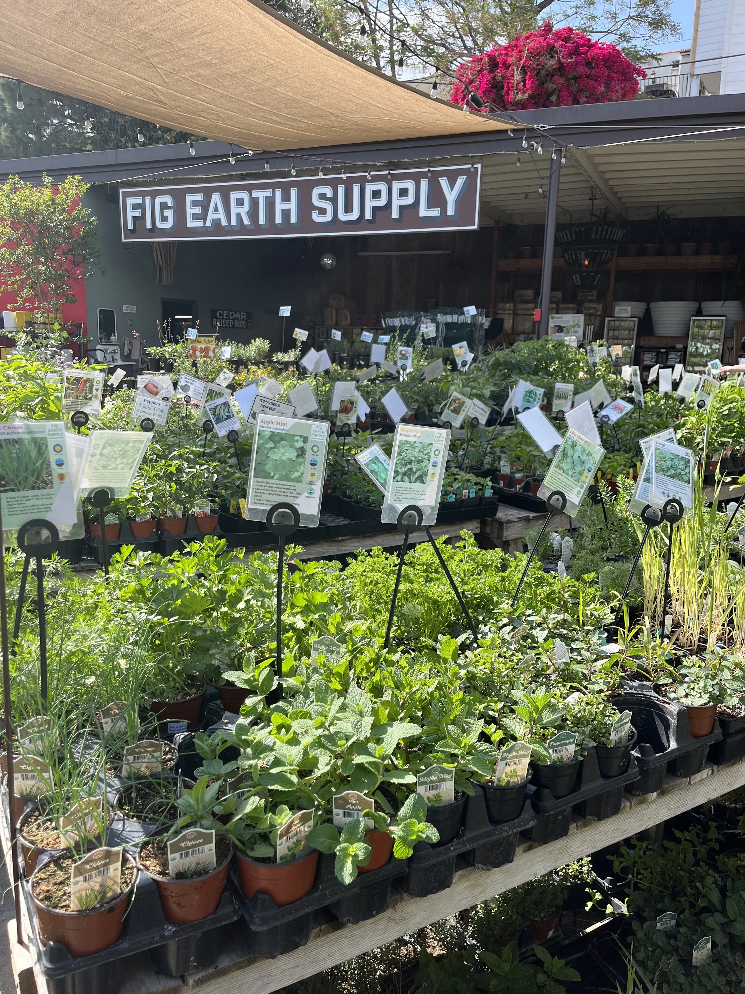 Fresh In April 3, 2025