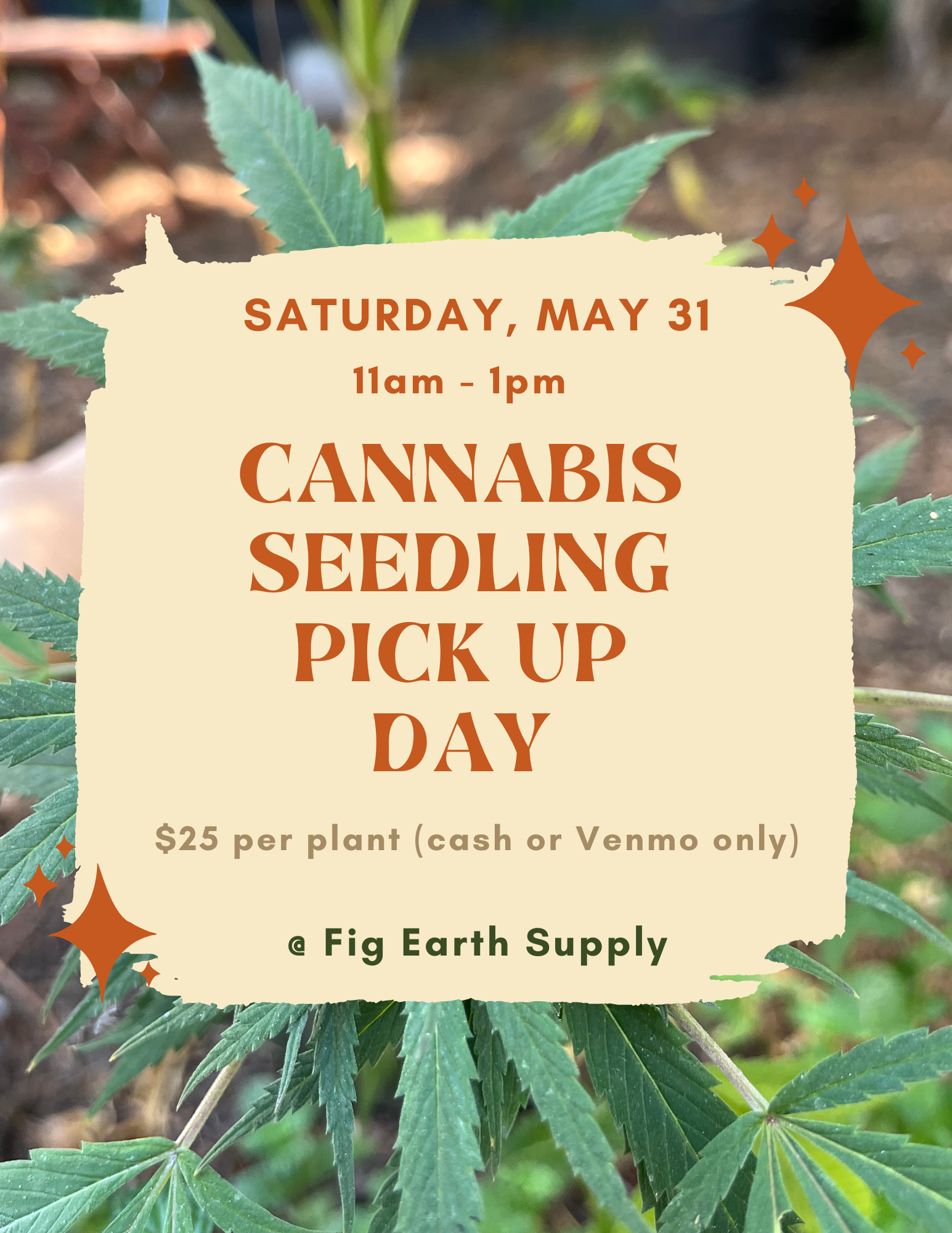 Cannabis Plant Pick Up Day