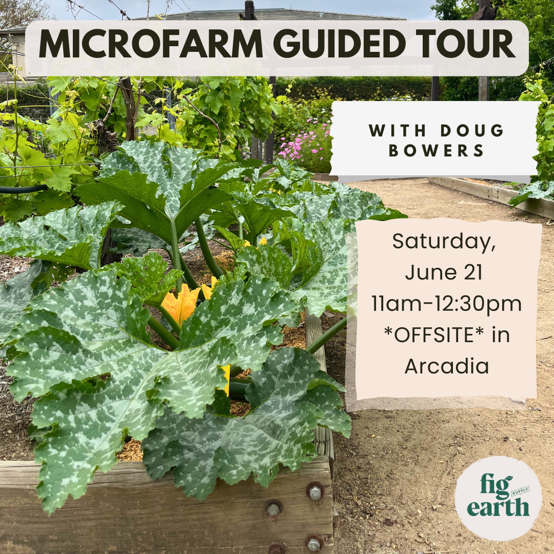 Microfarm Guided Tour with Doug Bowers