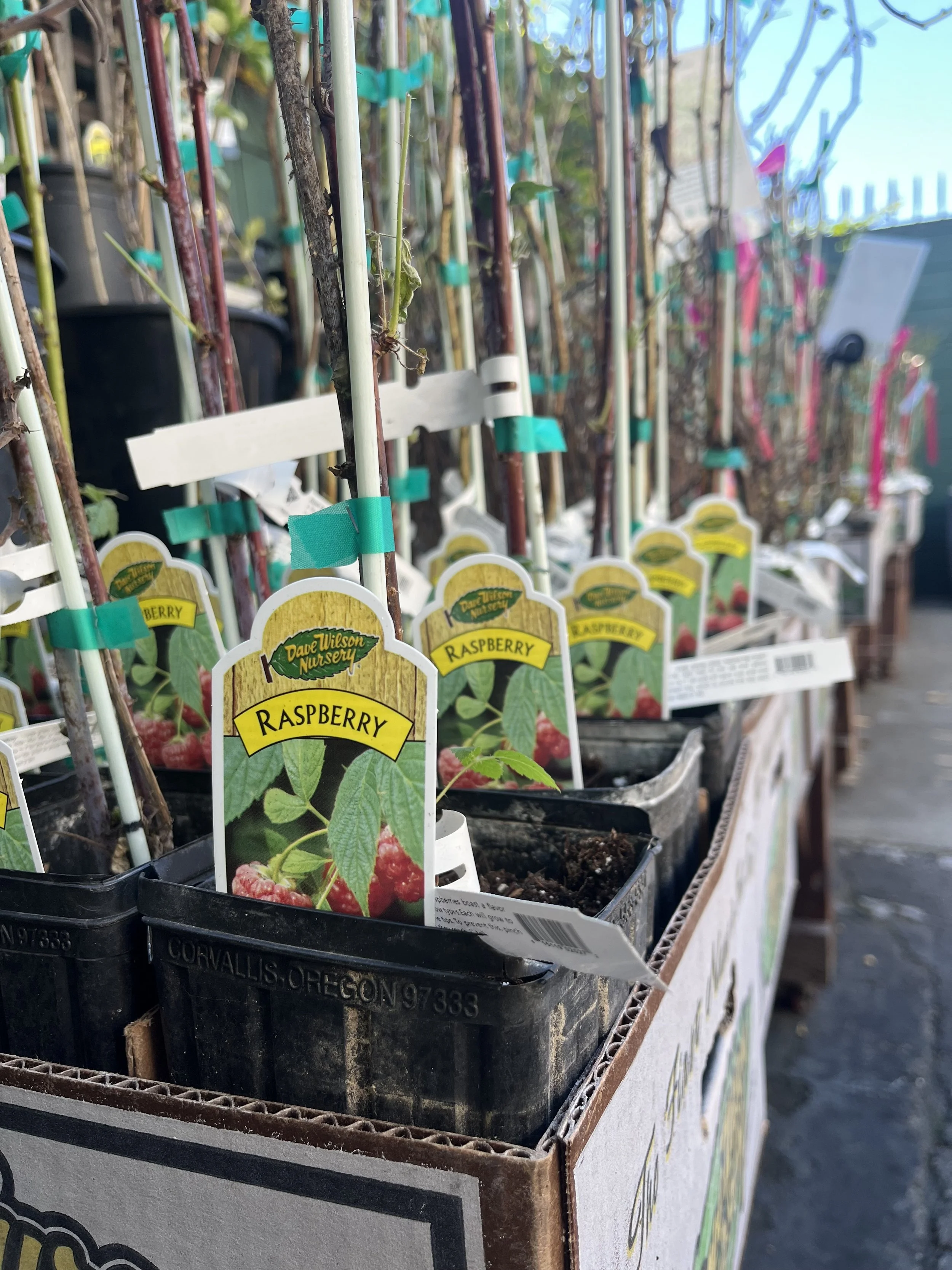 Fresh In December 10, 2025