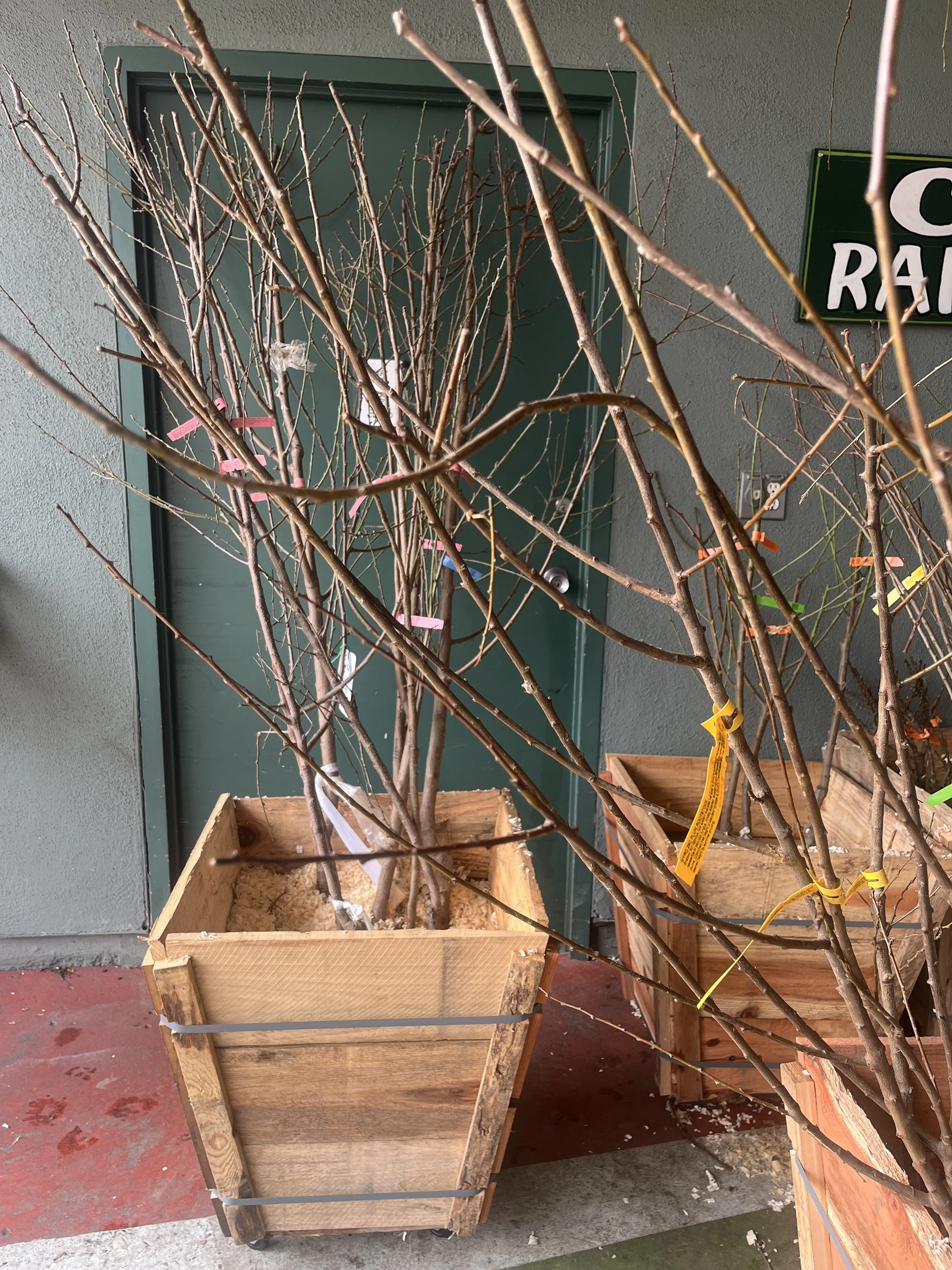 Fresh In January 22, 2026