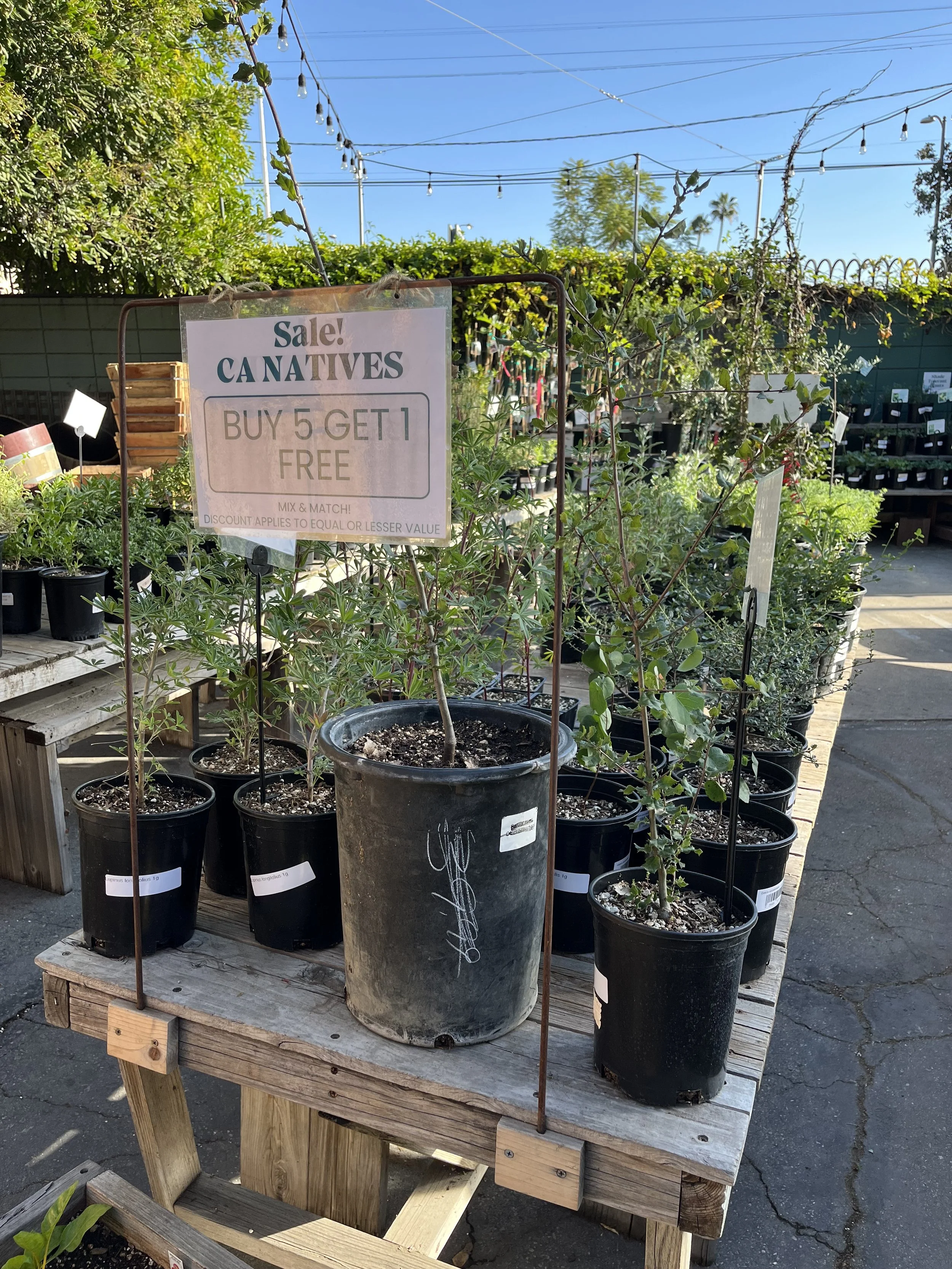 Fresh In January 29, 2026