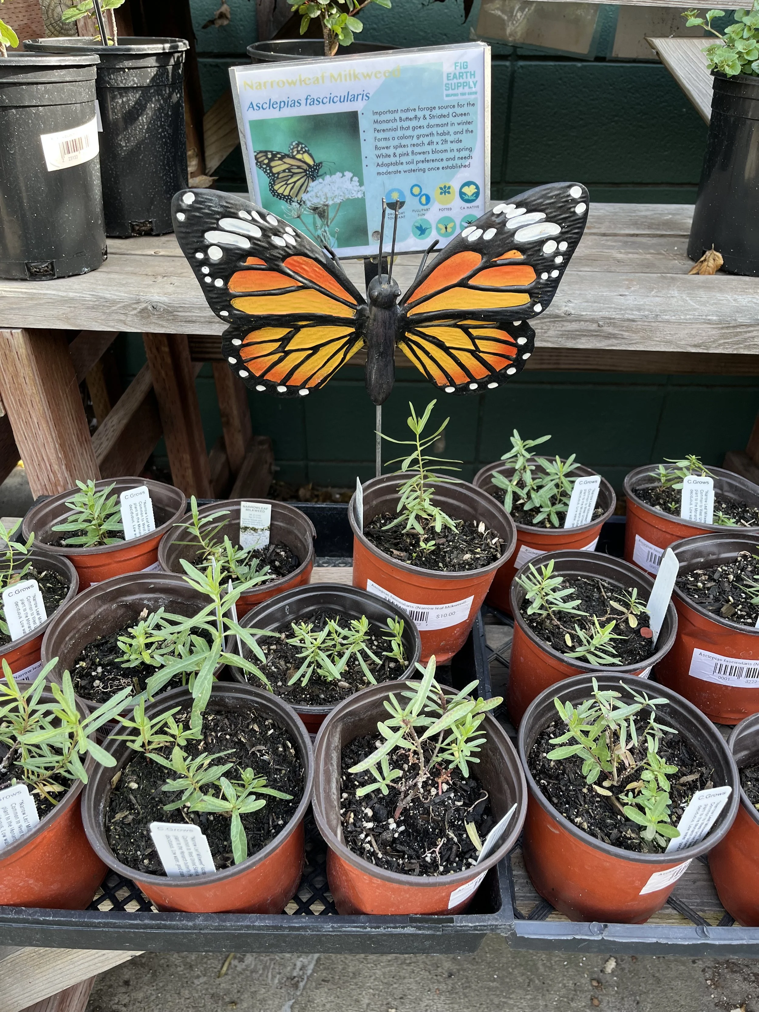 Fresh In Feb 12, 2026