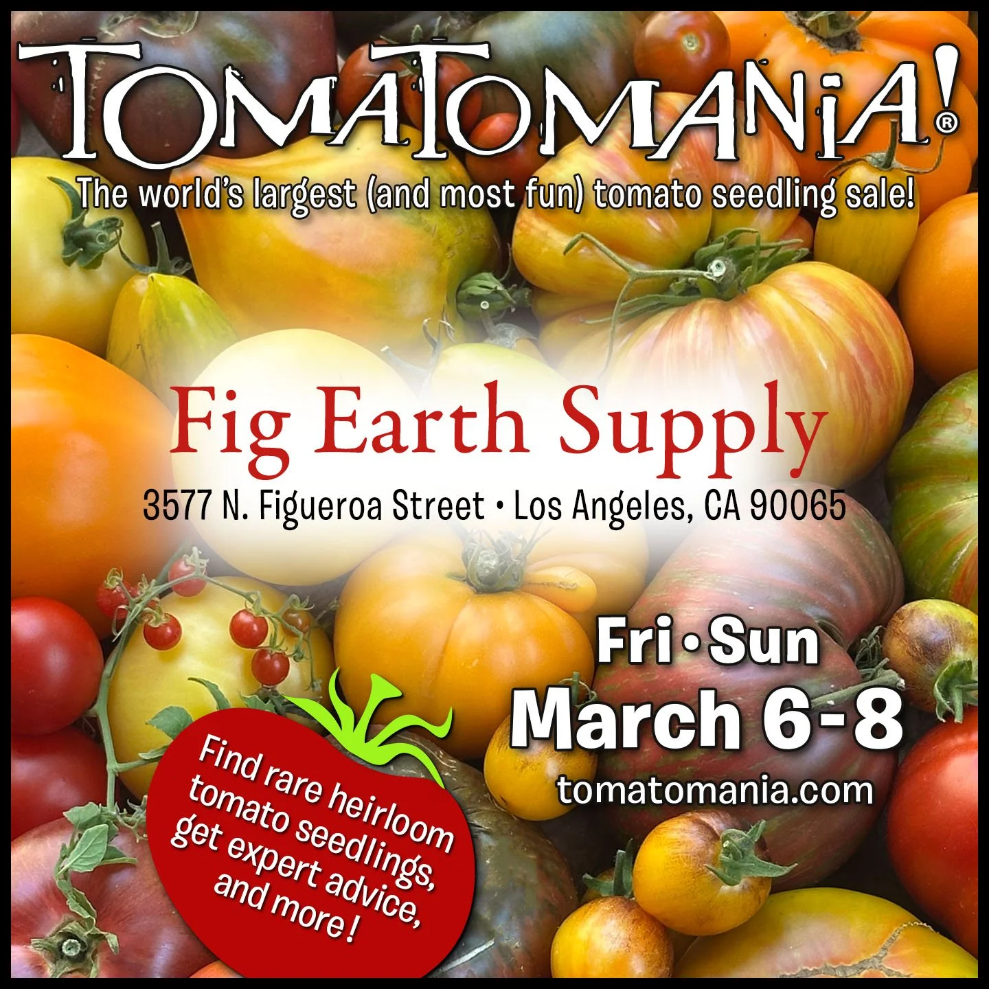 DigiArt 26-Fig Earth Supply copy.jpg