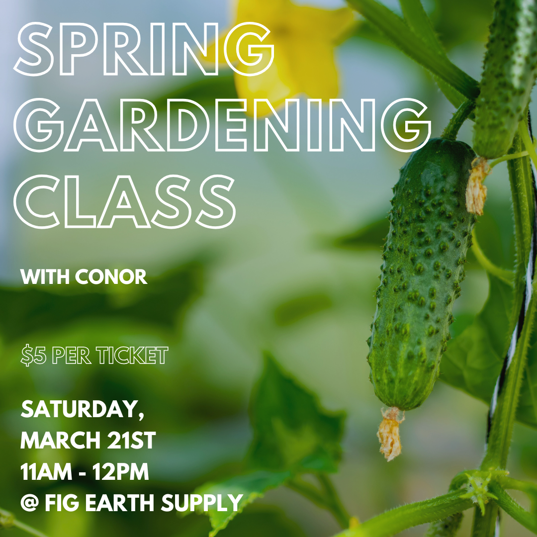 Spring Gardening with Conor