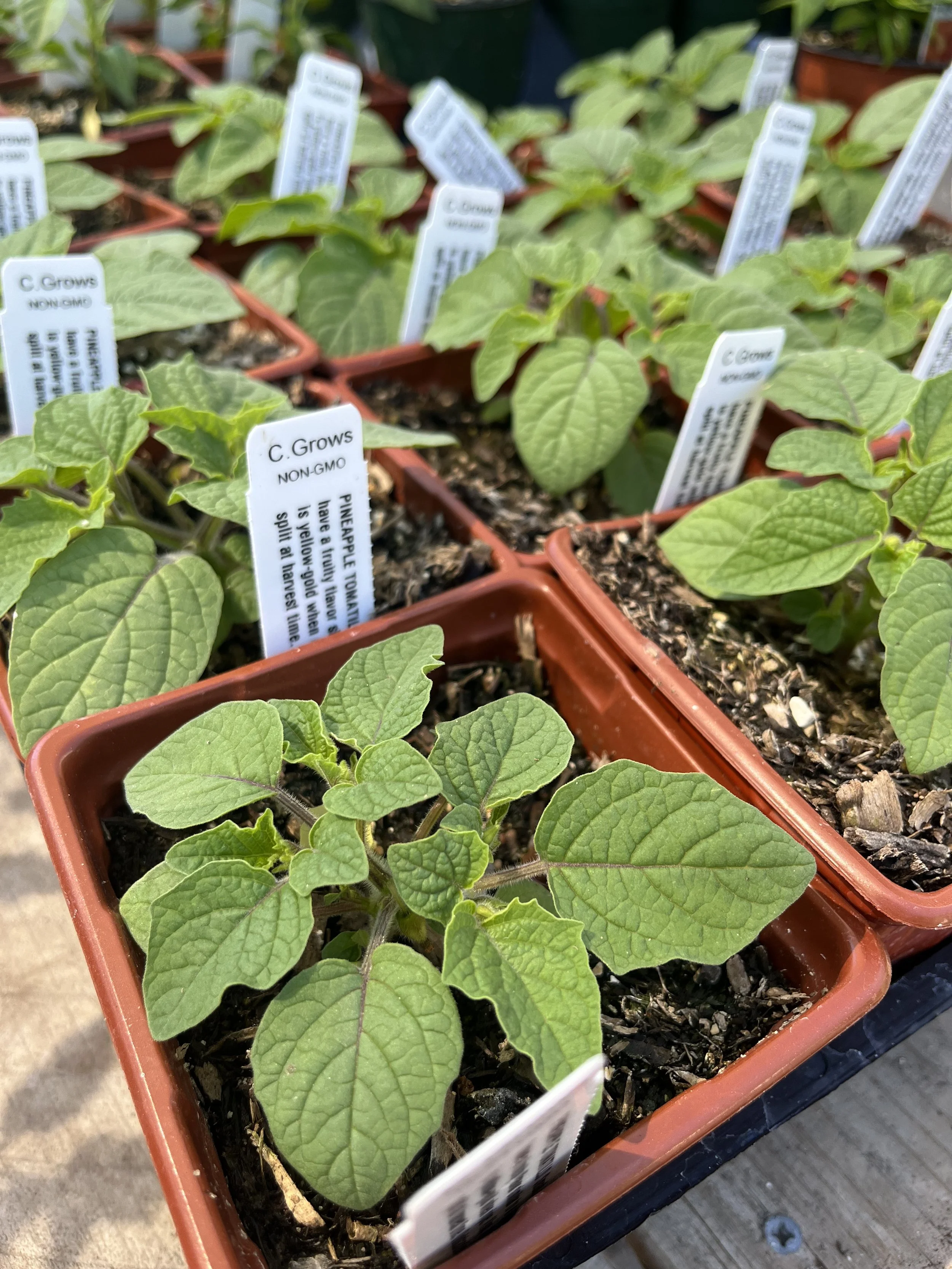 Fresh In Mar 12, 2026