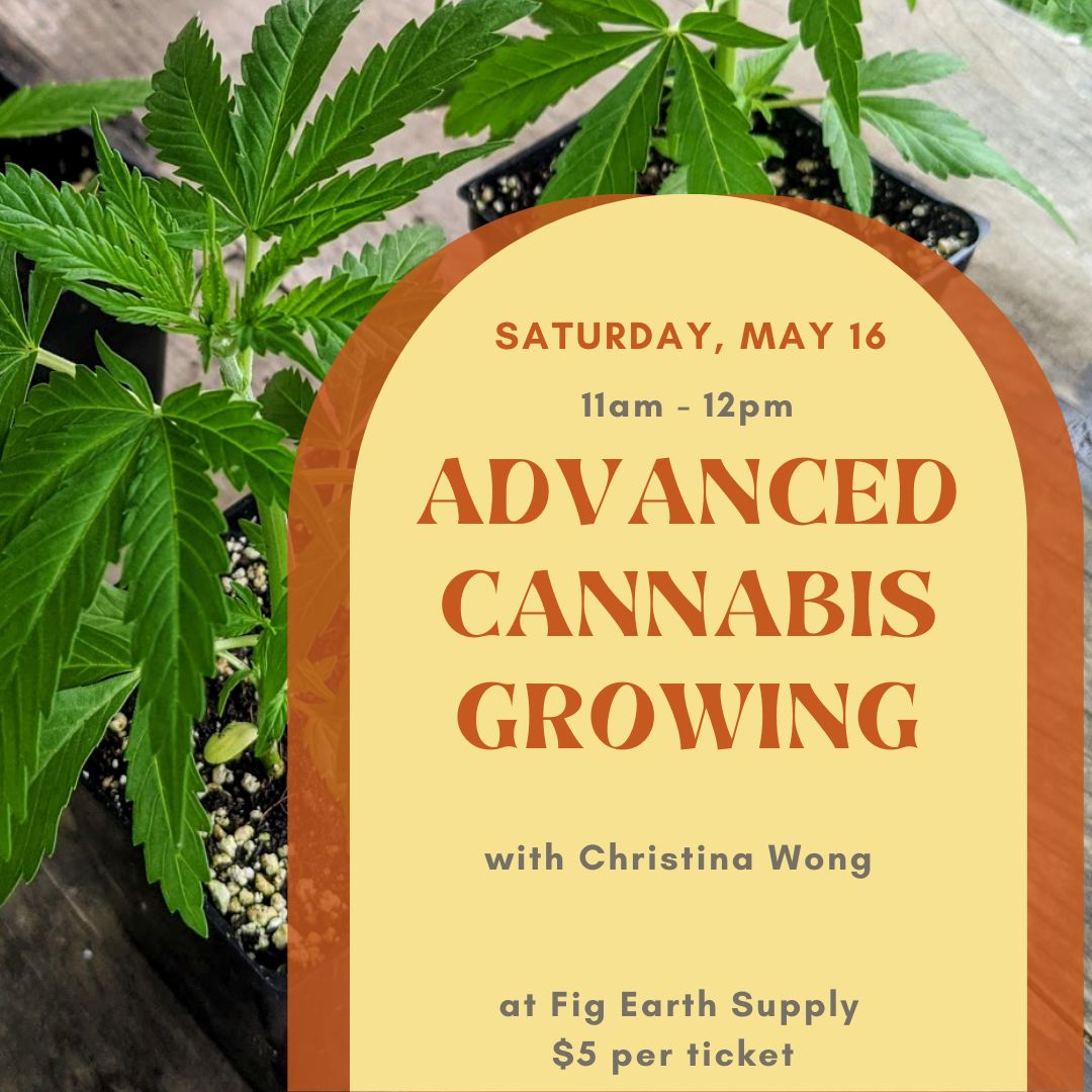 Advanced Cannabis Growing with Christina Wong