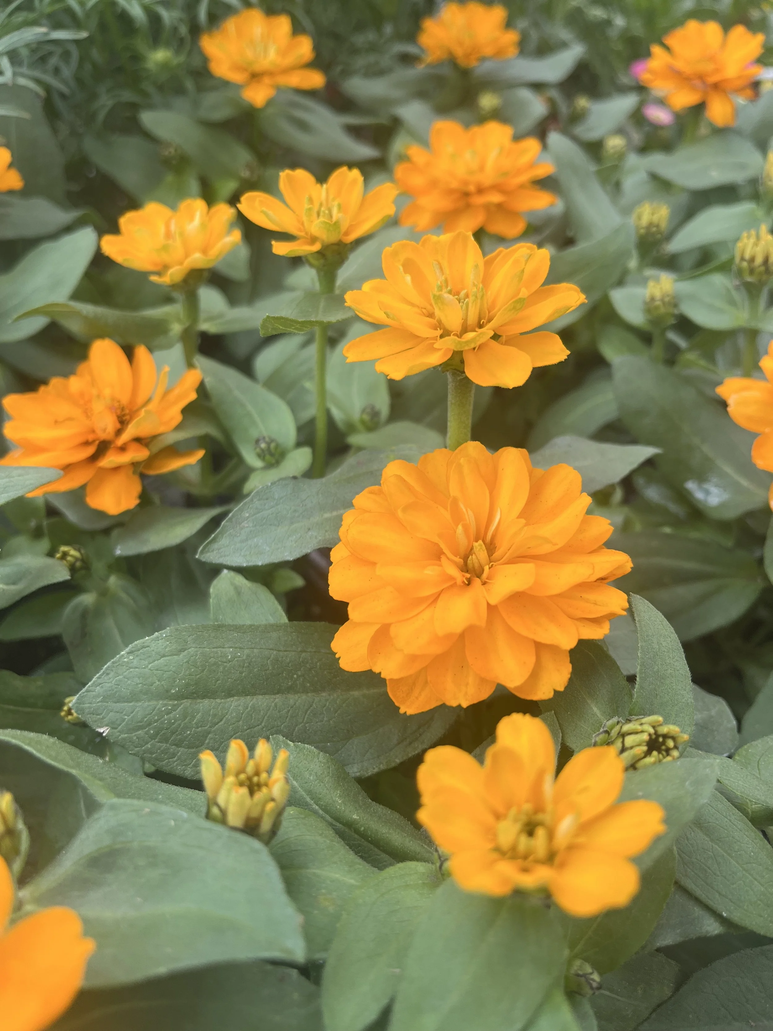 Fresh In April 2, 2026