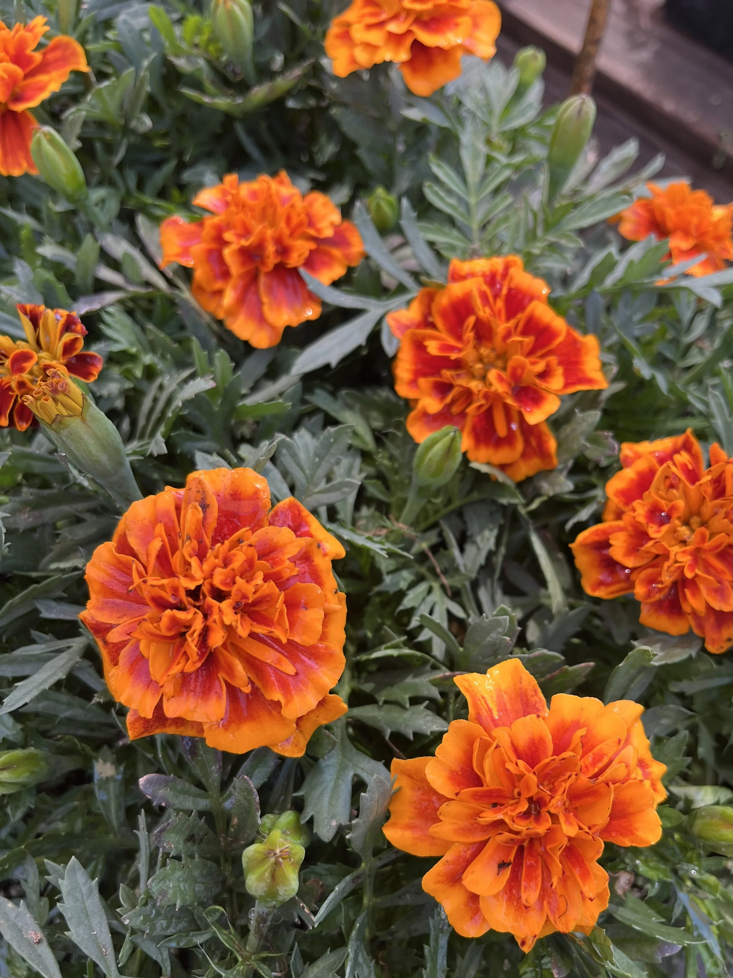 Fresh In April 16, 2026