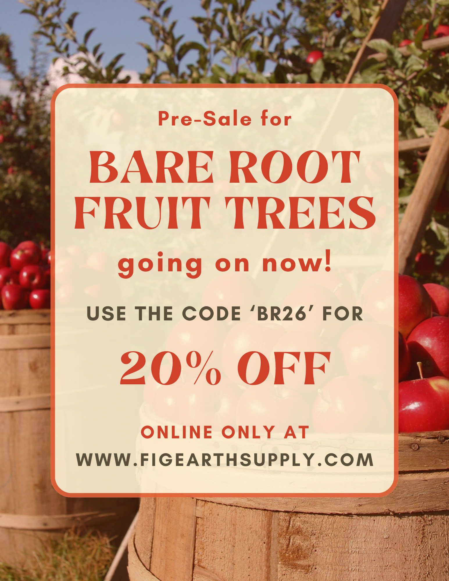 Bare Root Fruit Tree Flyers-2.png