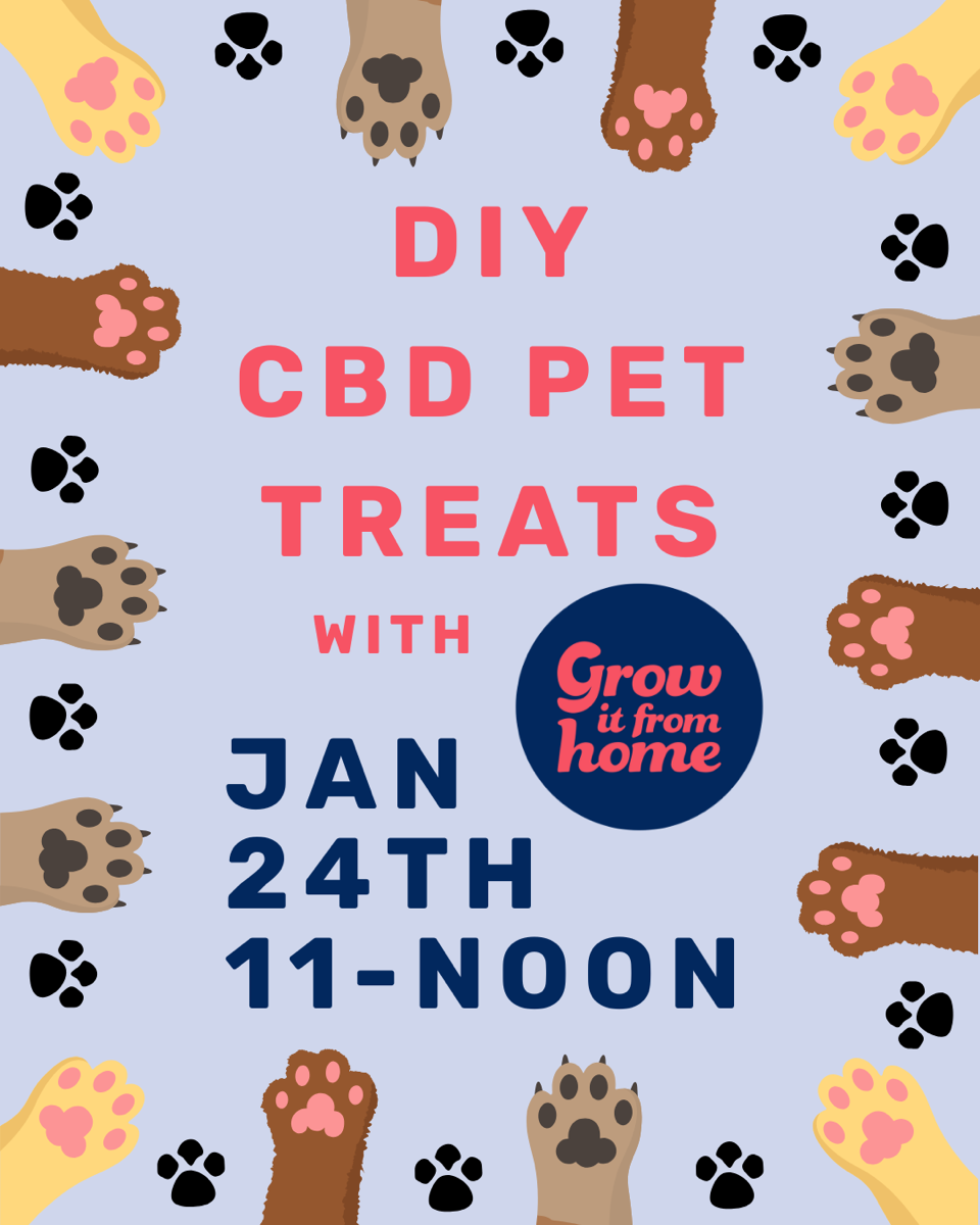 DIY CBD Dog Treat Workshop