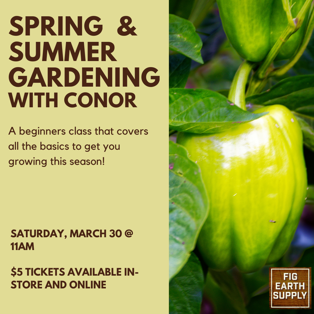 Spring & Summer Gardening with Conor