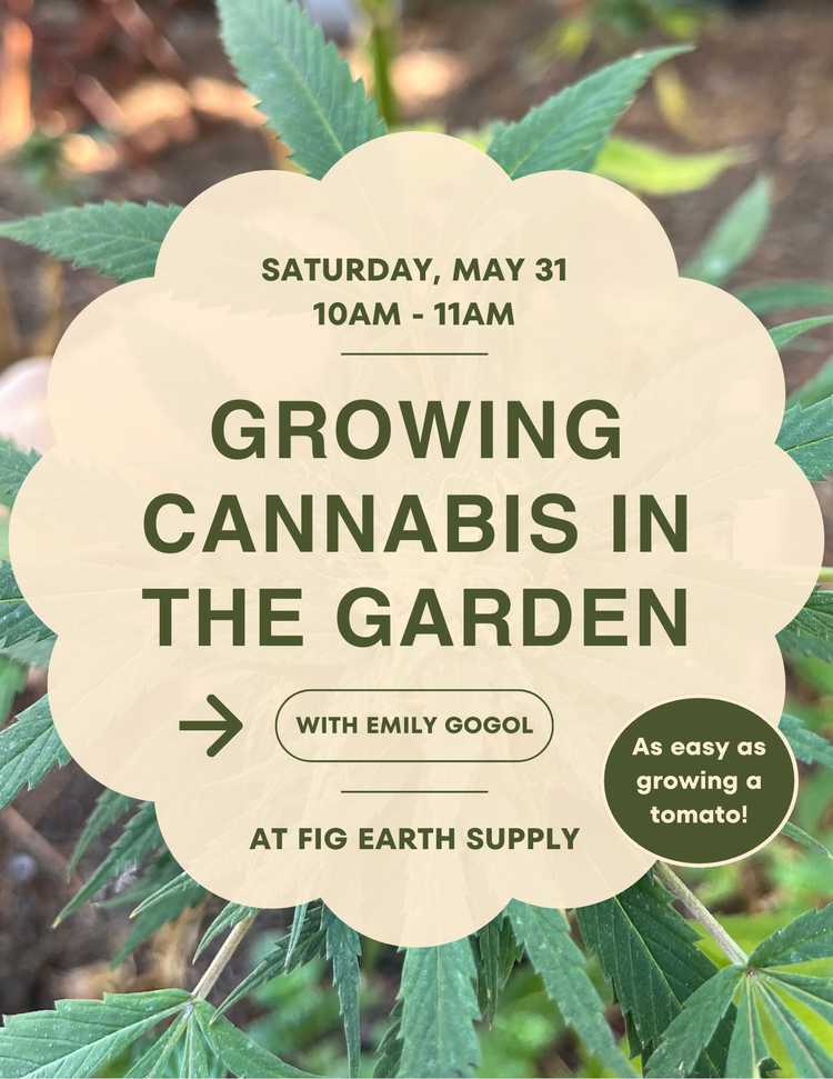 Fig earth supply upcoming classes