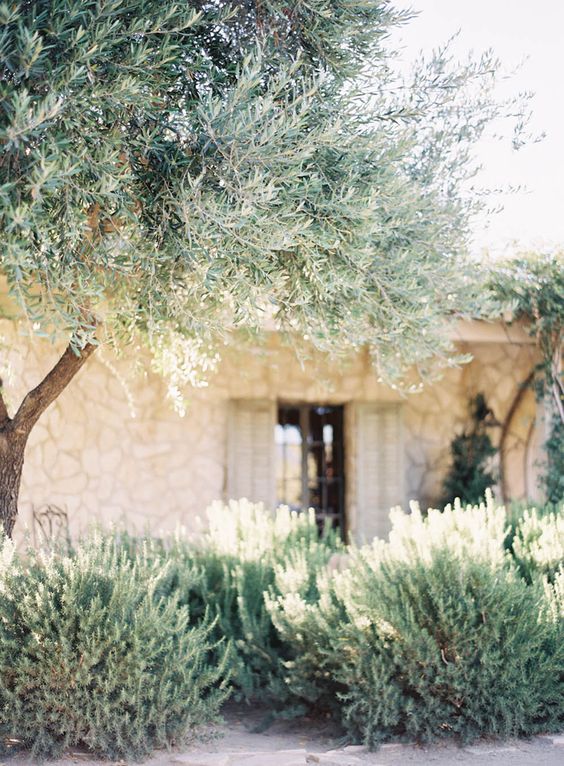 Mediterranean villa