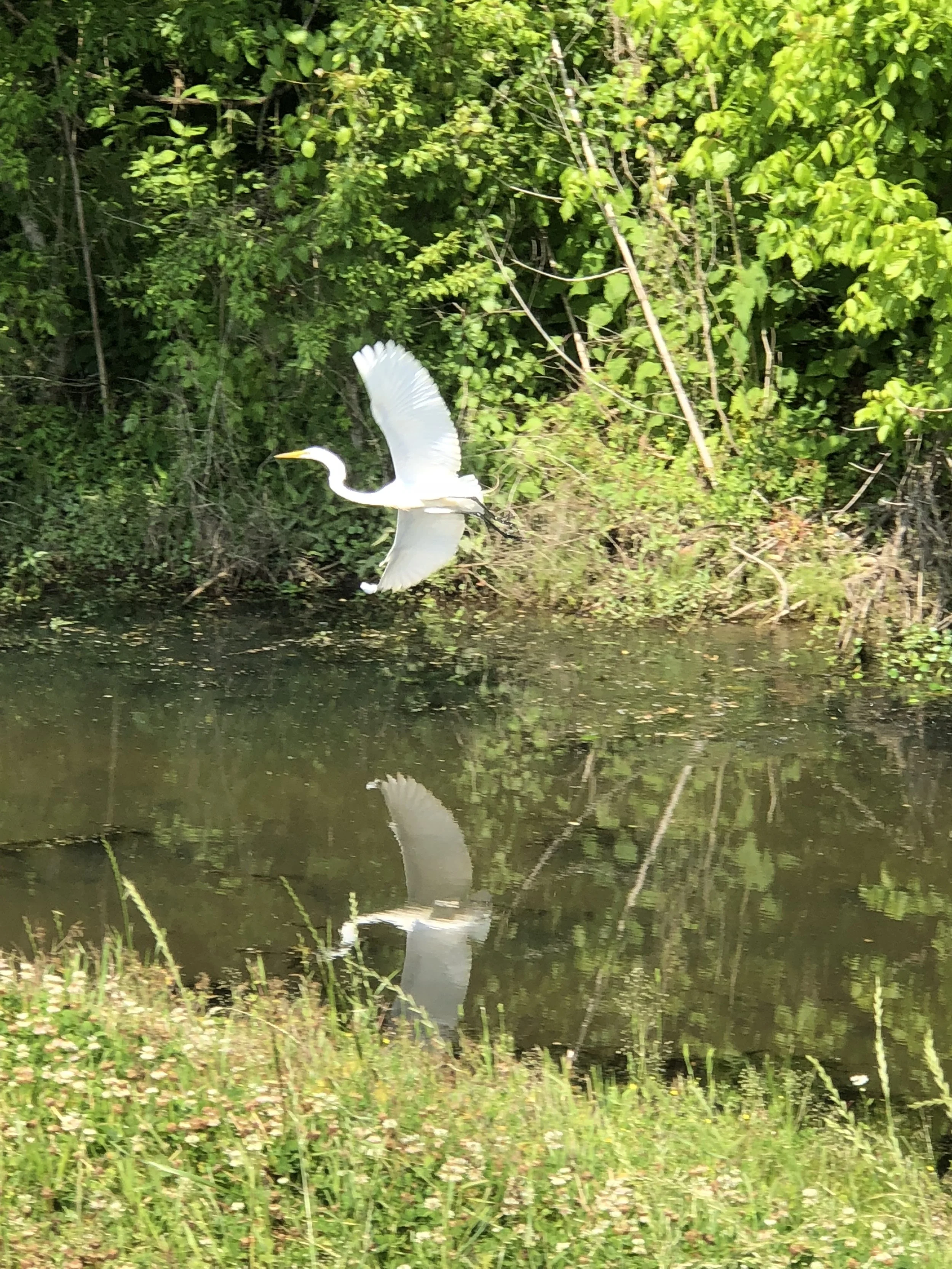 Taking Off for Louisiana Adventures