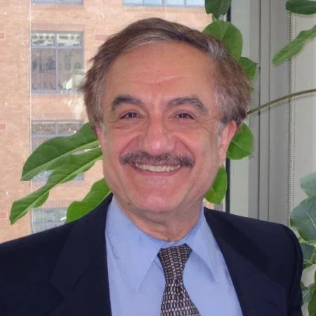 Hamid_Karimi2.jpg
