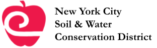 Logo Type.png