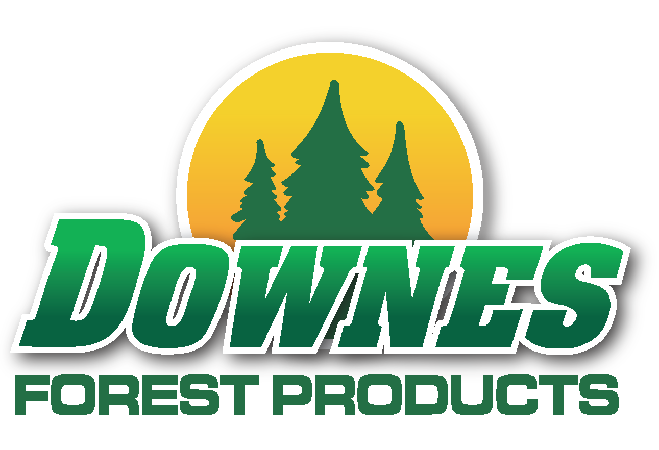 DFP-Logo-Vertical-Print2 .png