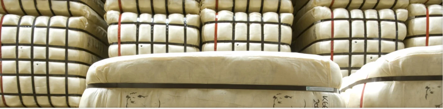 Red band header.jpeg