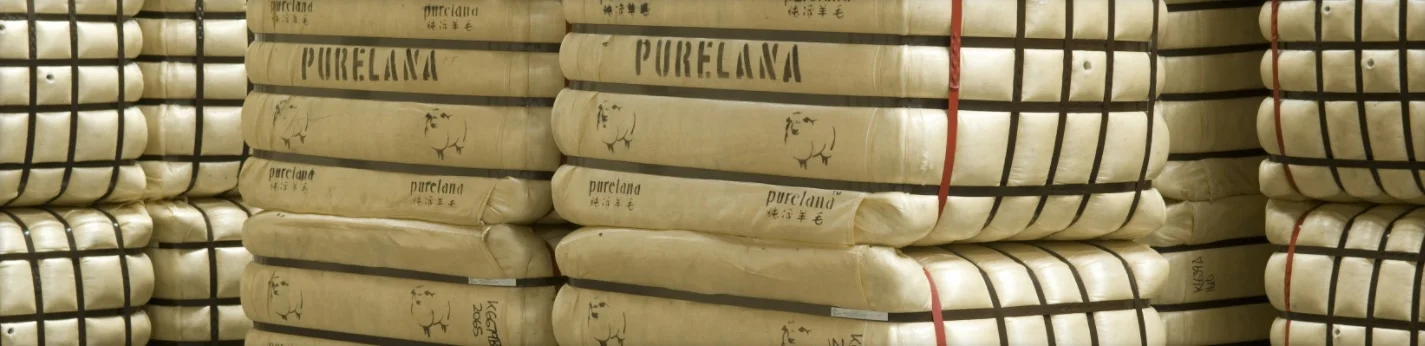 Management Header.jpeg