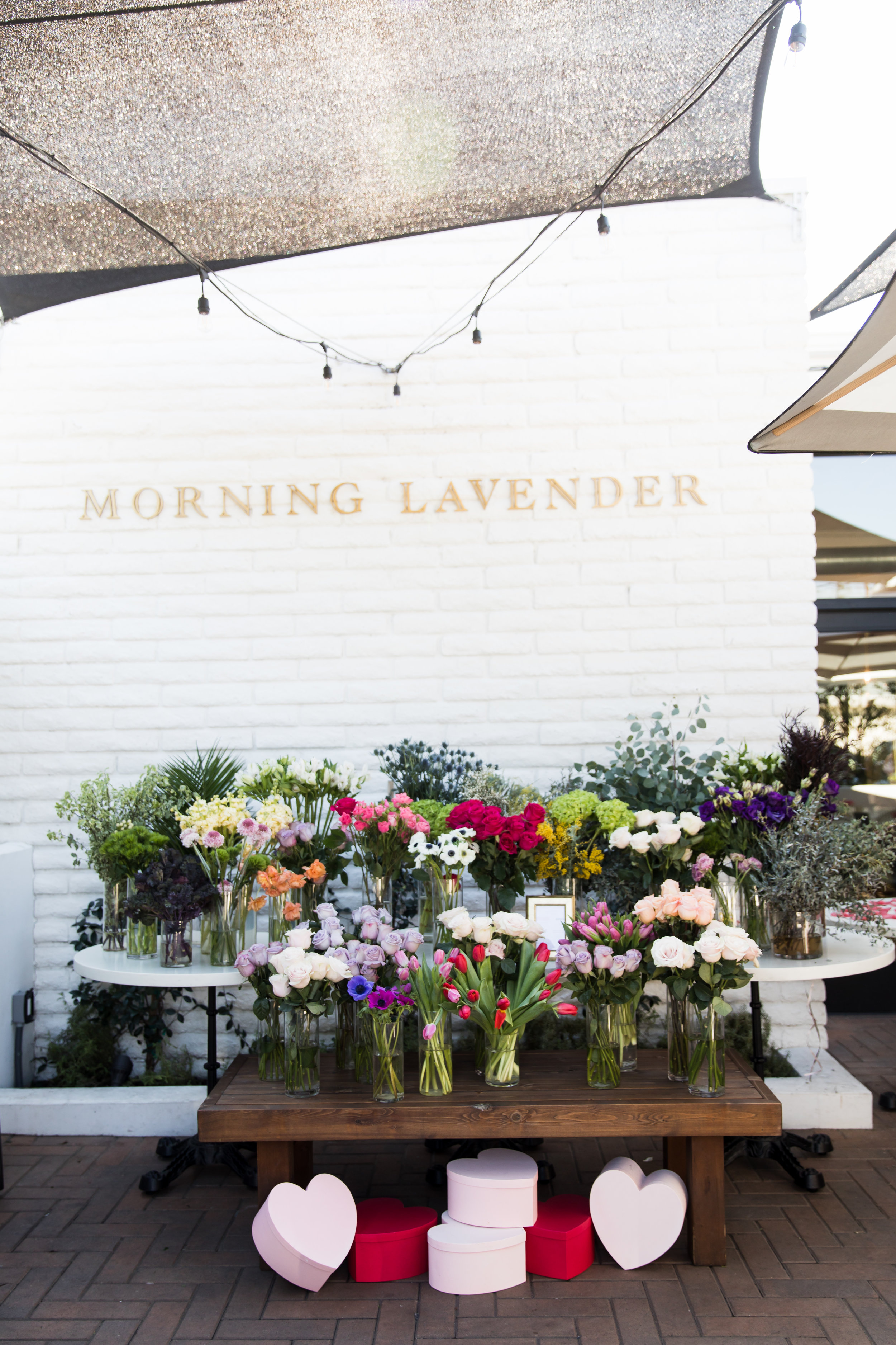 Galentine S Day At Morning Lavender Oc For Afternoon Tea Flower