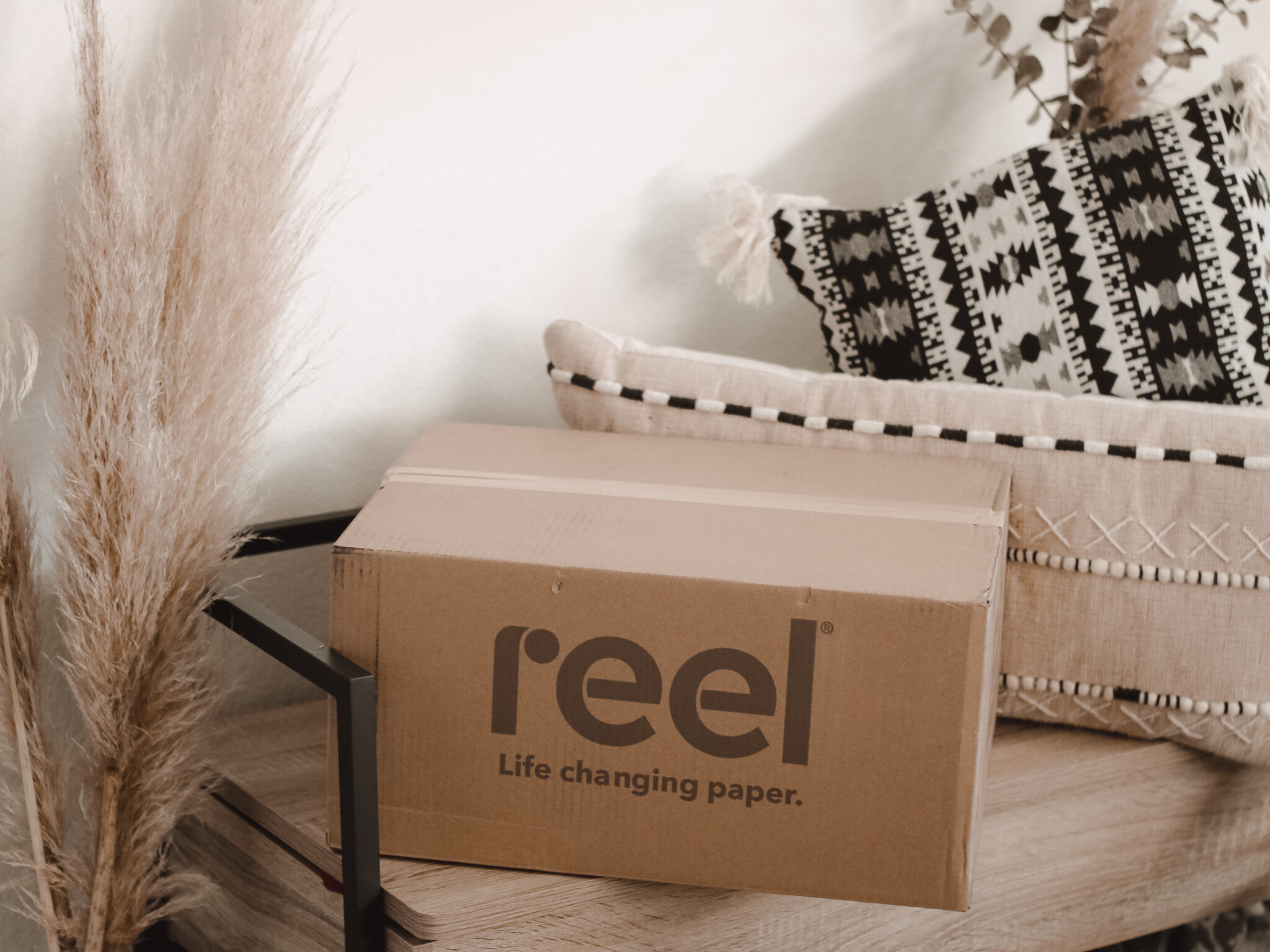 Reel Toilet Paper Delivery - Amanda N Hammond.jpg
