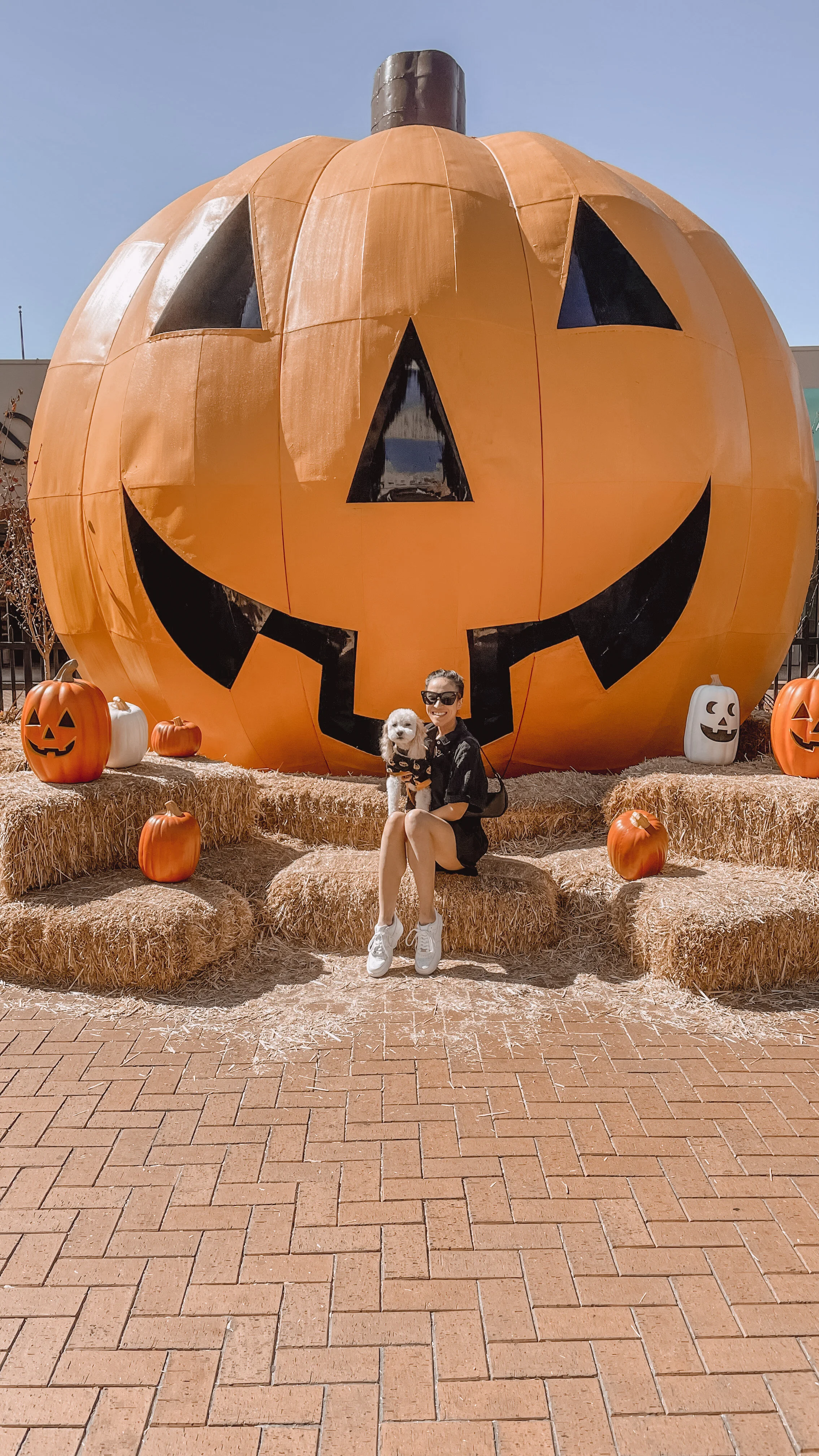 Jack-O-Lantern Pumpkin Display at Citadel Outlets - Los Angeles