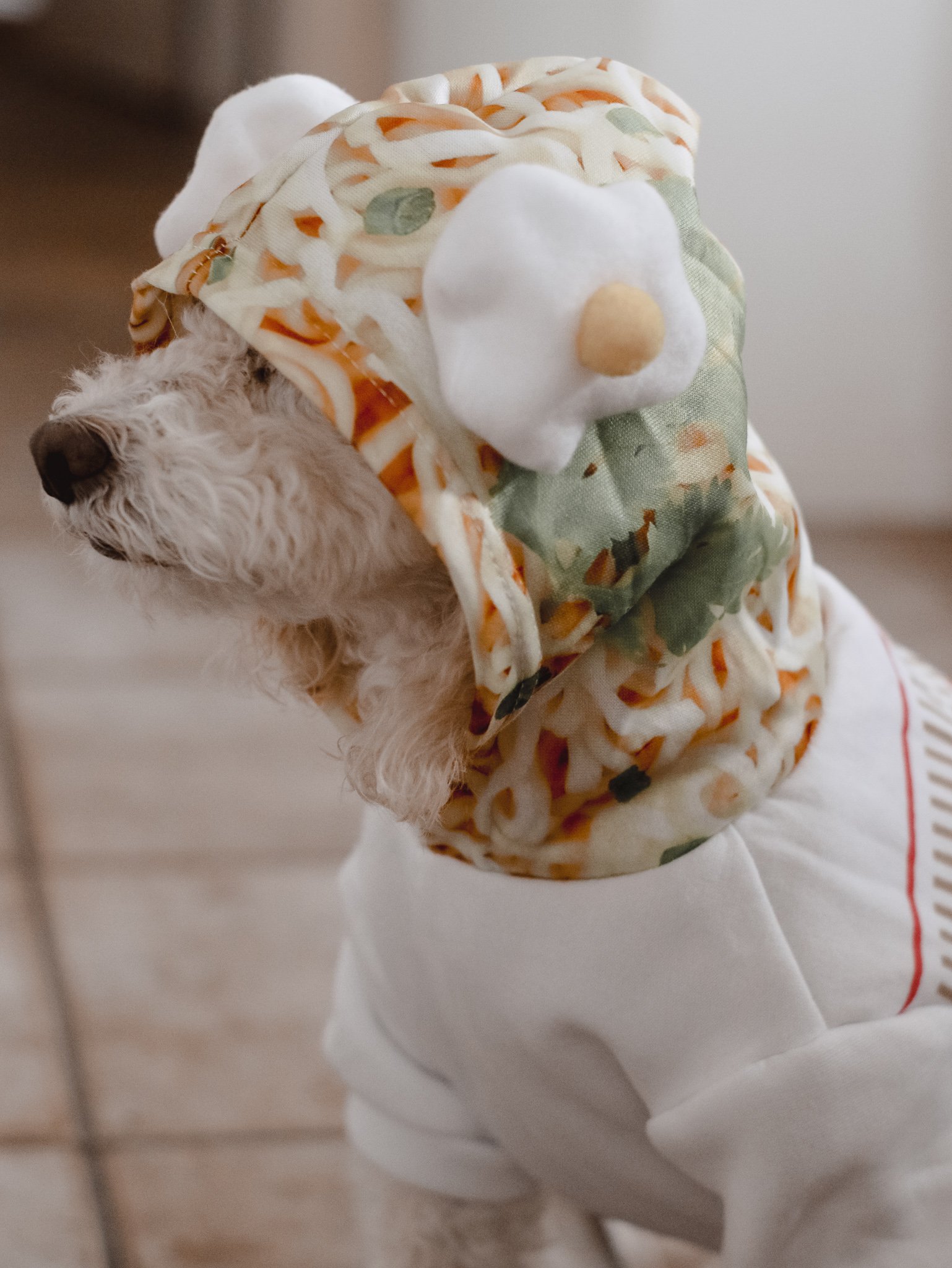 Egg Noodles Dog Hoodie - Amanda N Hammond.jpg