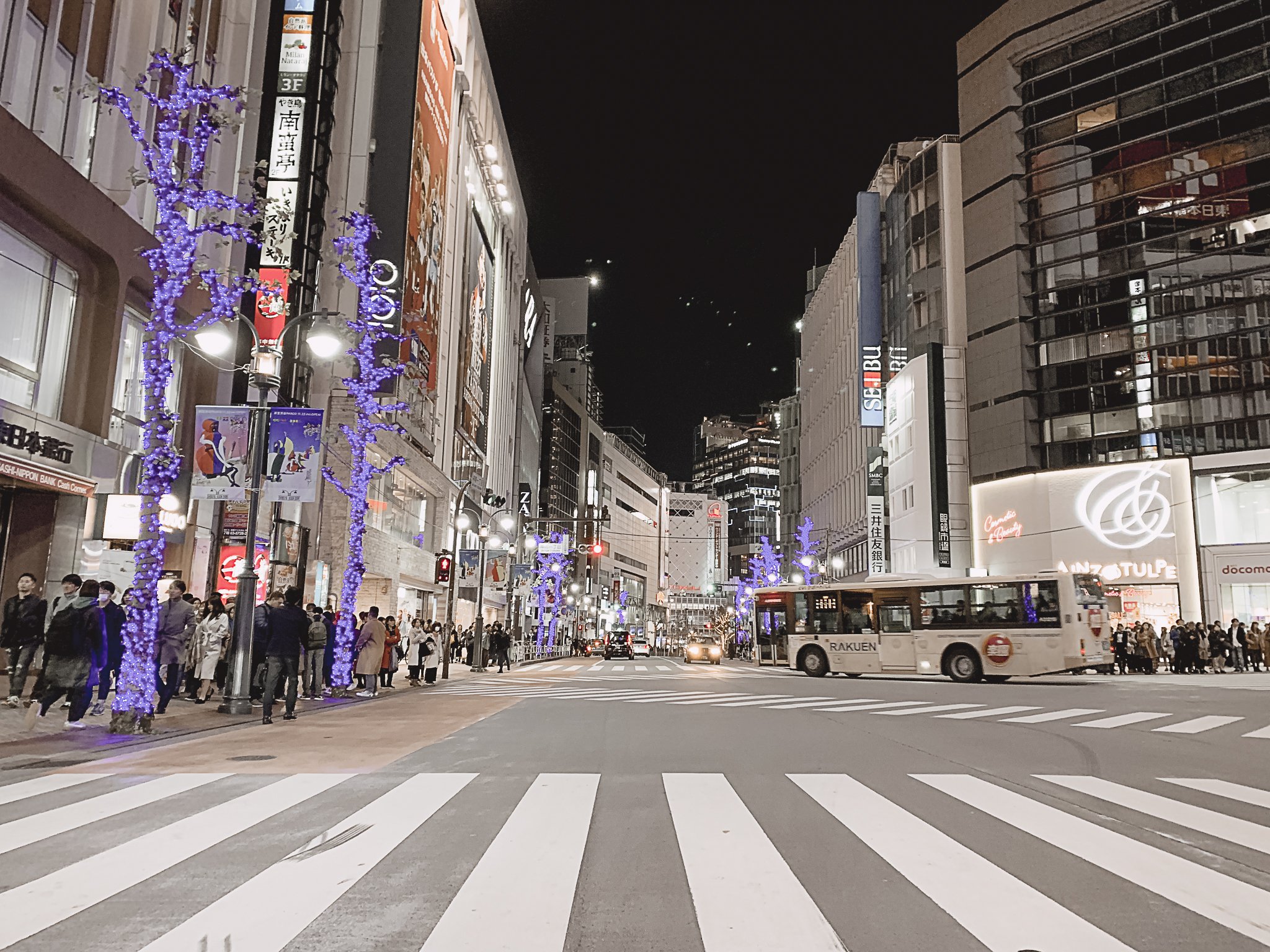 Street Kart Tokyo Japan - Amanda N Hammond-05.jpg