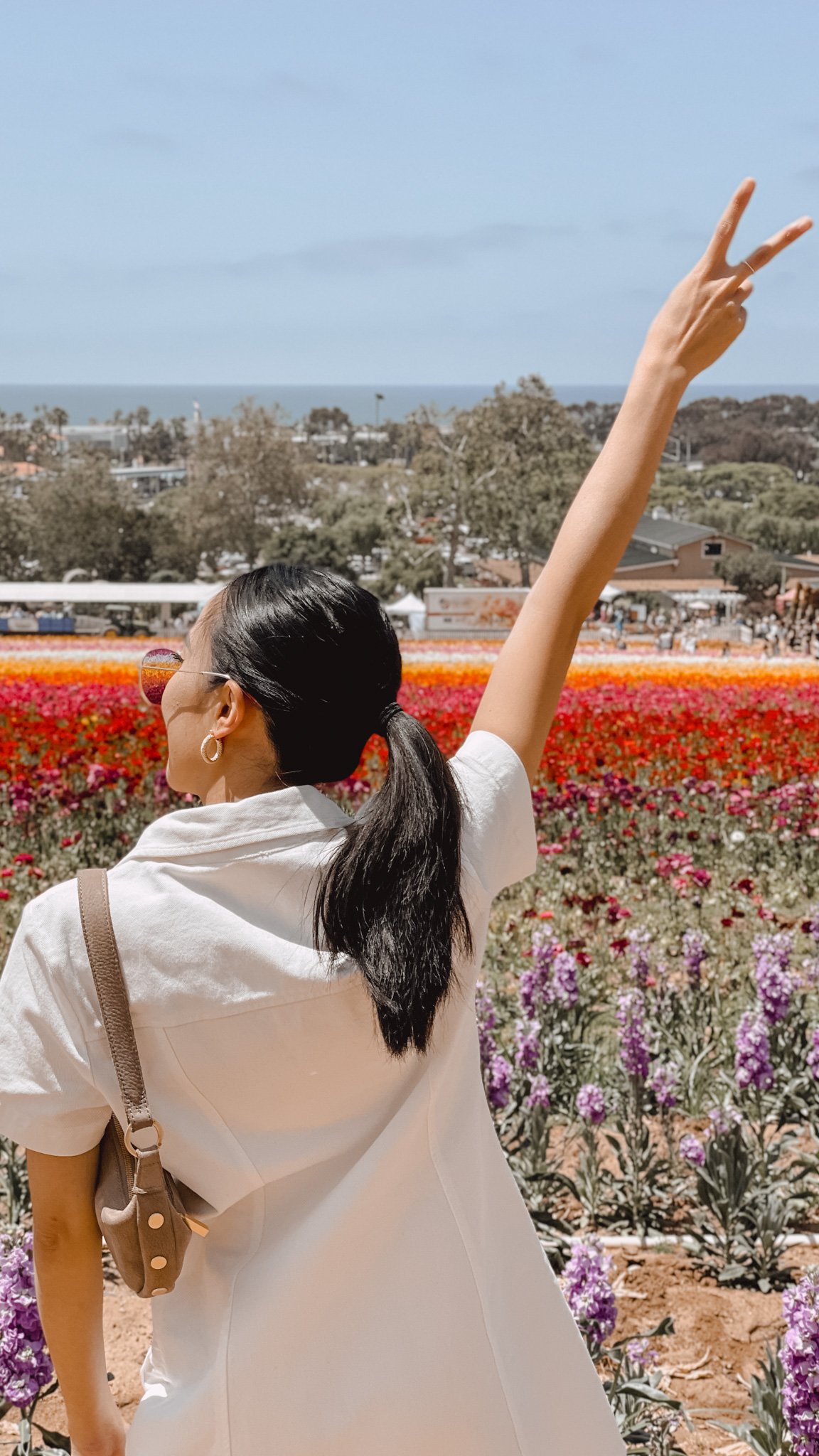 Carlsbad Flower Fields - Amanda N Hammond-4.jpg