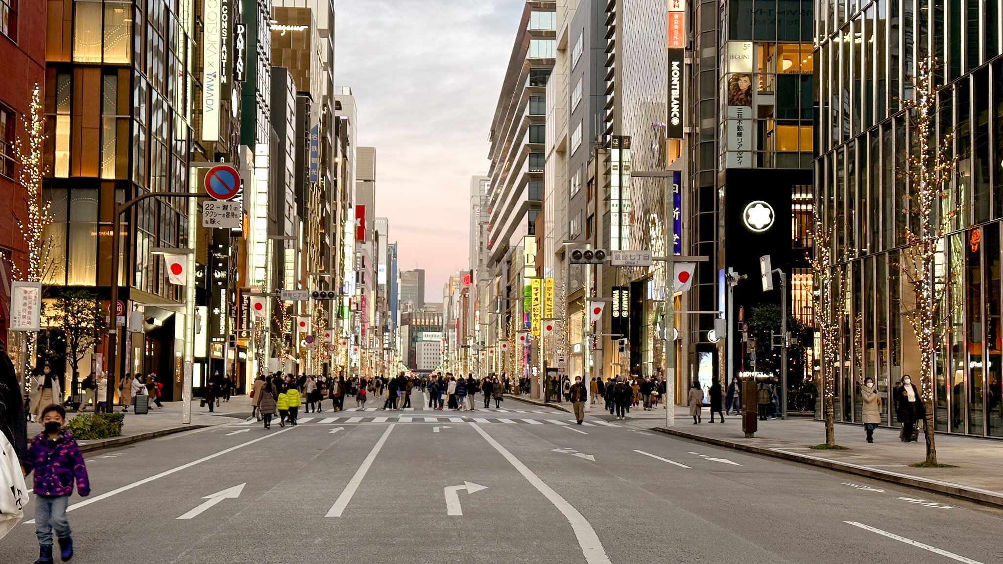 Tokyo Ginza Walking Streets Japan - Amanda N Hammond.jpg