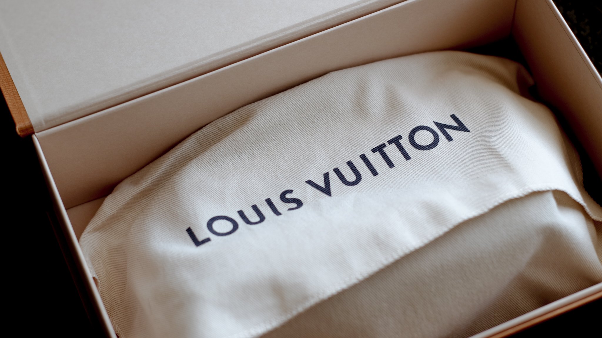 Louis Vuitton Felicie Strap and Go - Amanda N Hammond-8.JPG