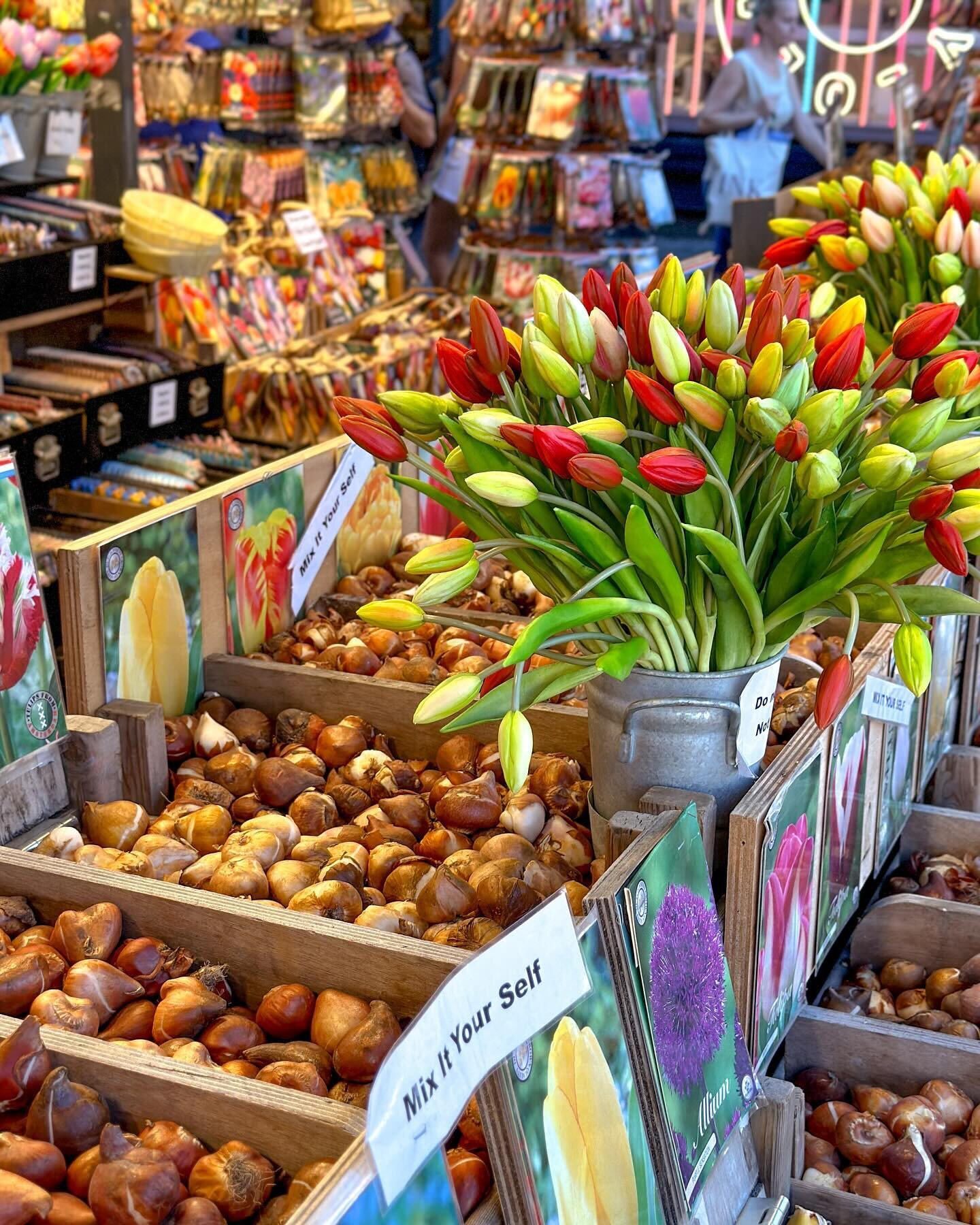 Snapshots from my #AmsterdamTrip 
1. #bloemenmarkt - the #FlowerMarket
2. View of the #Singel from #Koningsplein 
3. #AnneFrankHouse 
4. @candy.pirates 
5. Nieuwe Kerk e.o. Neighborhood 
6. Oudezijds Voorburgwal 
7. @renescroissants 
8. @vangoghmuseu