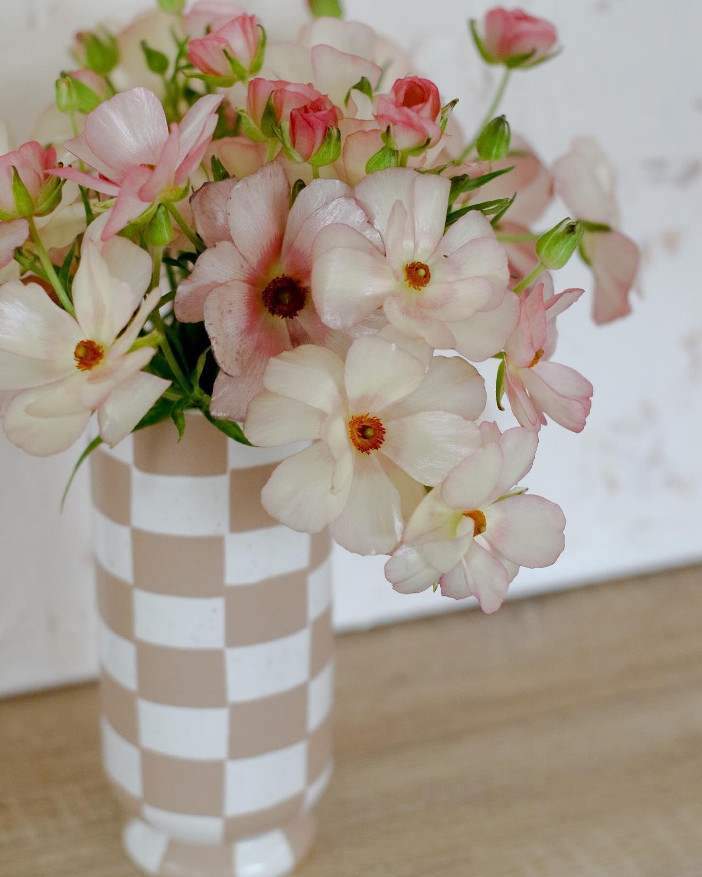 when you have an obsession with flowers but also, want to get your money&rsquo;s worth since they will 🥀, so #takeapictureitlastslonger 🤣🤣🤣 but I took like 50 photos of these flowers, pared down to 7 snaps 🤣 #flowerphotos #flowerphotoshoot #trad