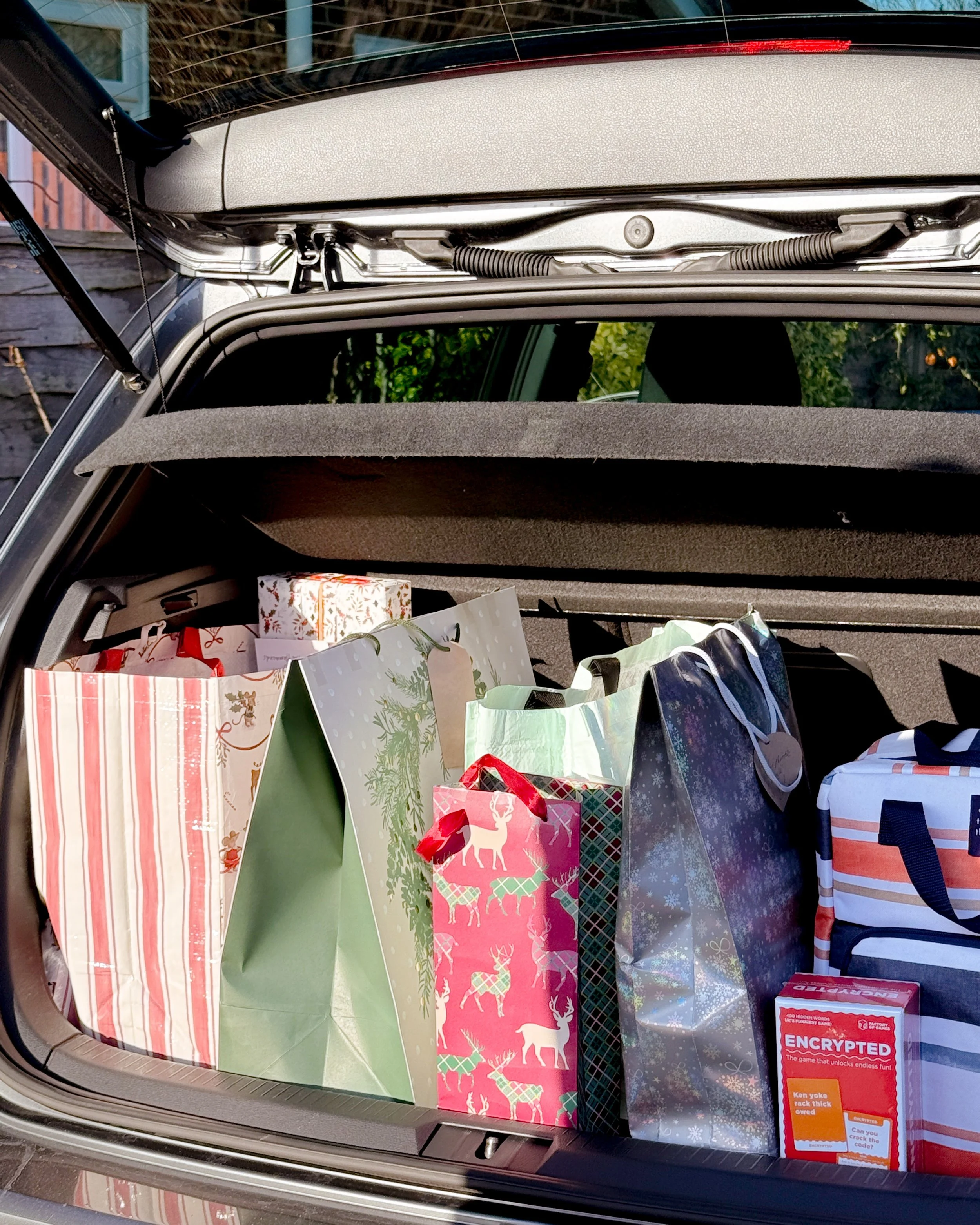 English Christmas with Family 2025 - Amanda N Hammond-10.jpg