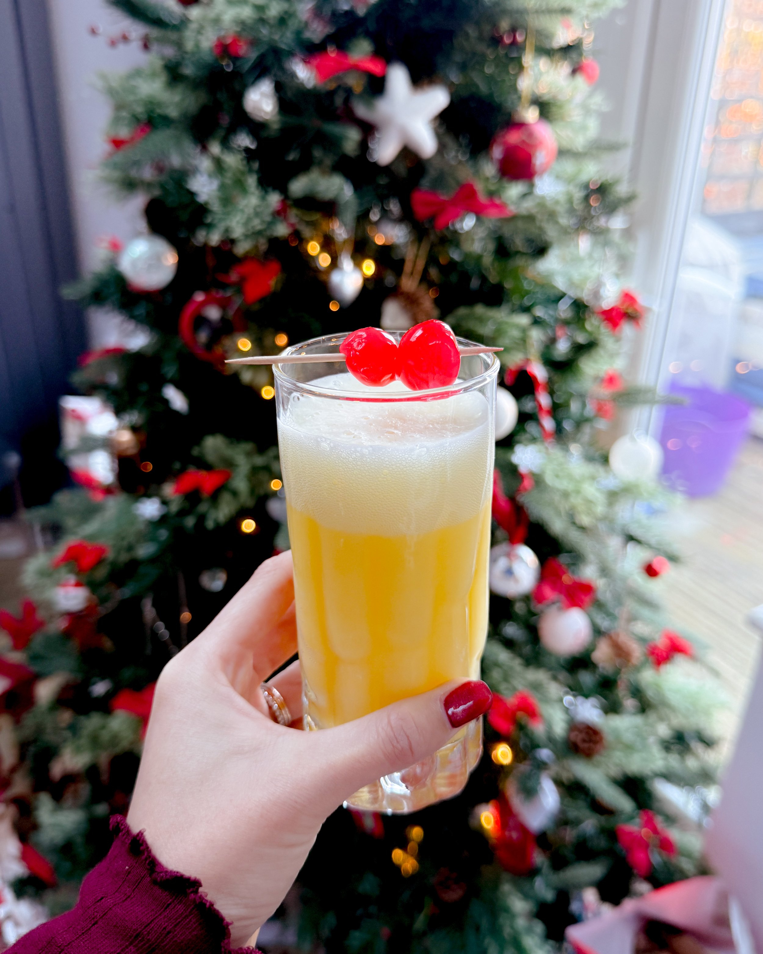 English Christmas with Family 2025 - Amanda N Hammond-04.jpg