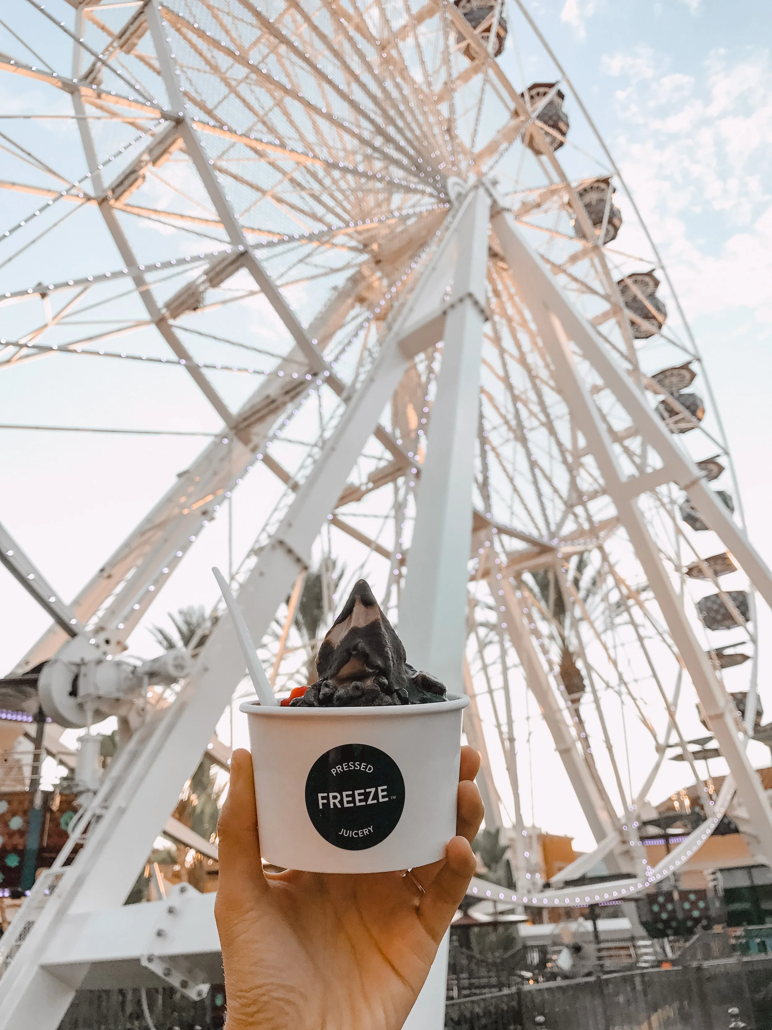 Irvine Spectrum Center Giant Wheel 2017 - Amanda N Hammond.jpg
