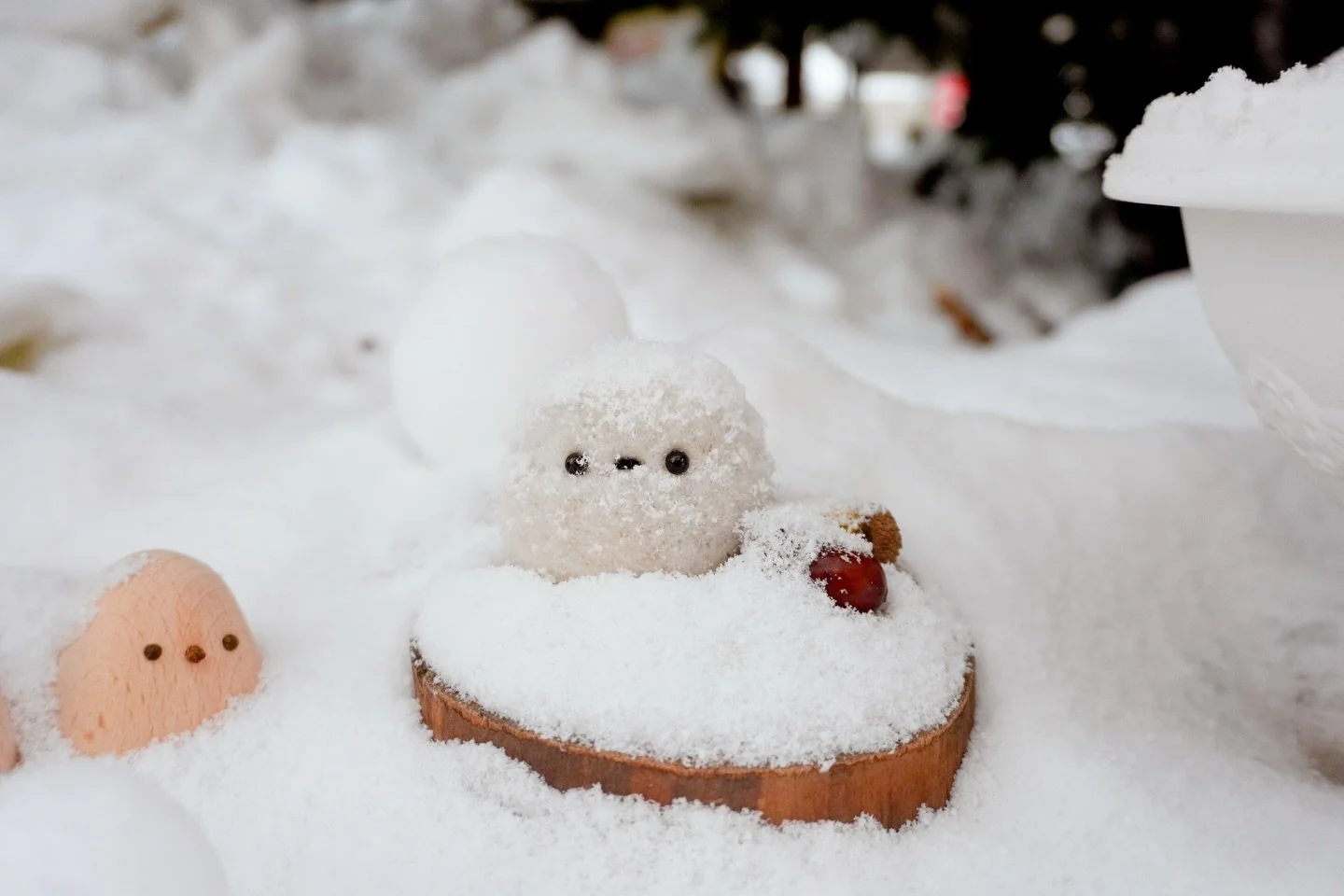 Found a pocket of color in snowy Sapporo. ☁️🌸

If you&rsquo;re looking for a spot that feels both historic and incredibly photogenic, put @sapporo_suwajinja #SuwaShrine on your list. Between the floating seasonal flowers in the hanachozu and the bri