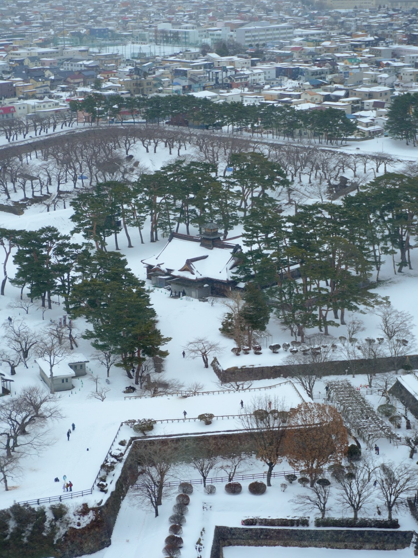 views from 📍 @goryokaku_tower #goryokakutower #hakodate #hokkaidojapan #winterinjapan #goryokaku