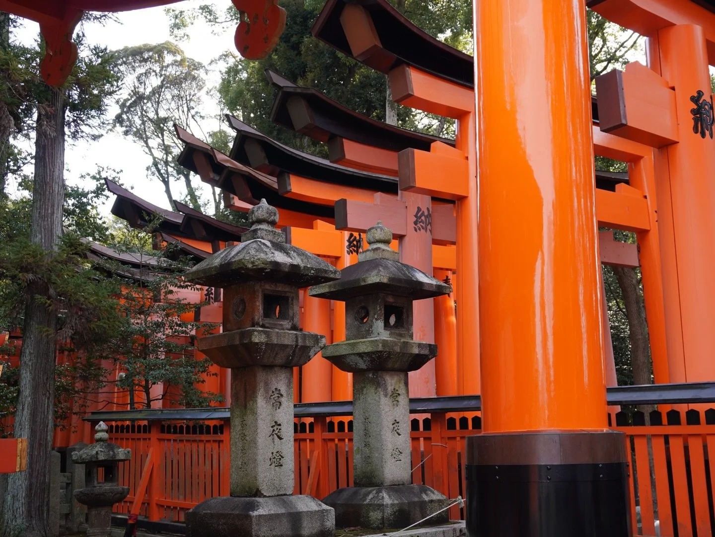 PT 1. #FushimiInariTaisha and #MtInari hike towards the summit. This was about 30 minutes (1km) from the main #FushimiInari shrine entrance (near the lower Senbon Torii gates) up to the Kumatakasha shrine since I made some stops on the way. This spot
