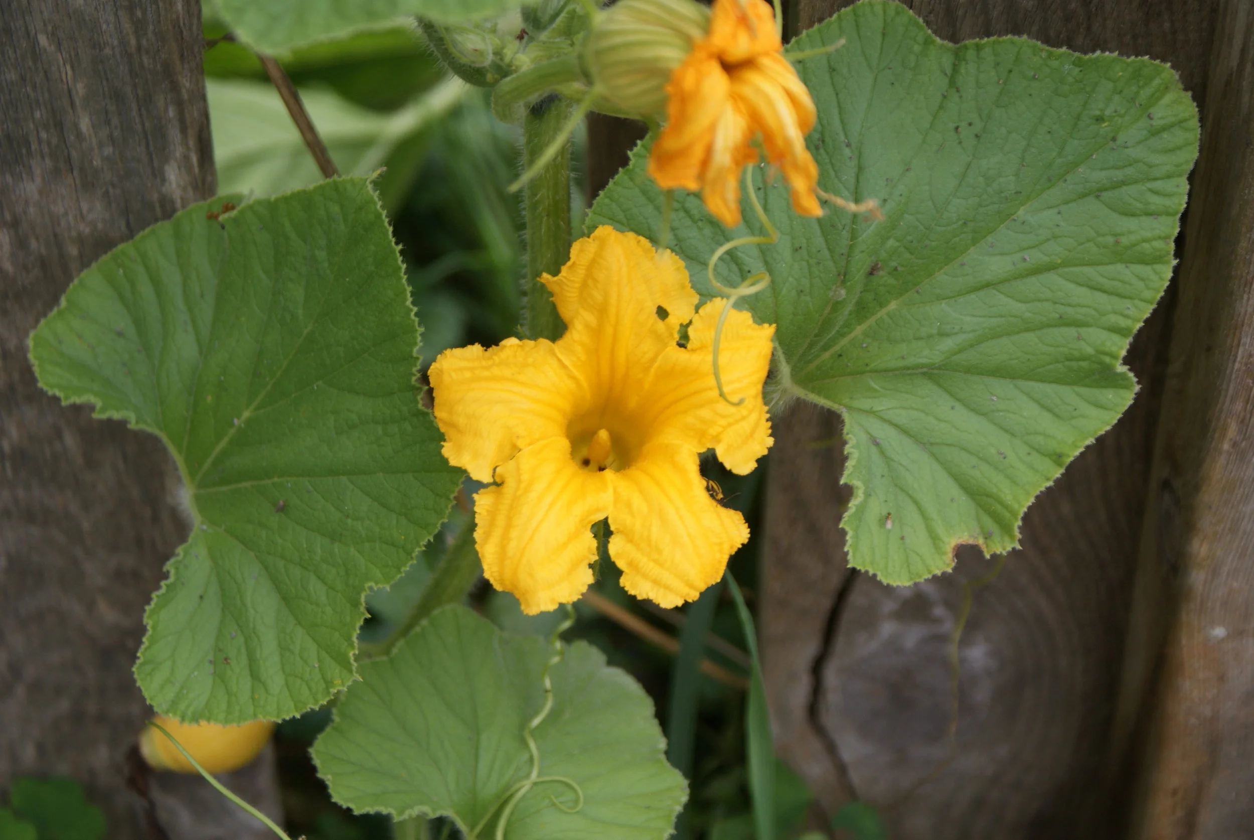 DSC04700.JPG